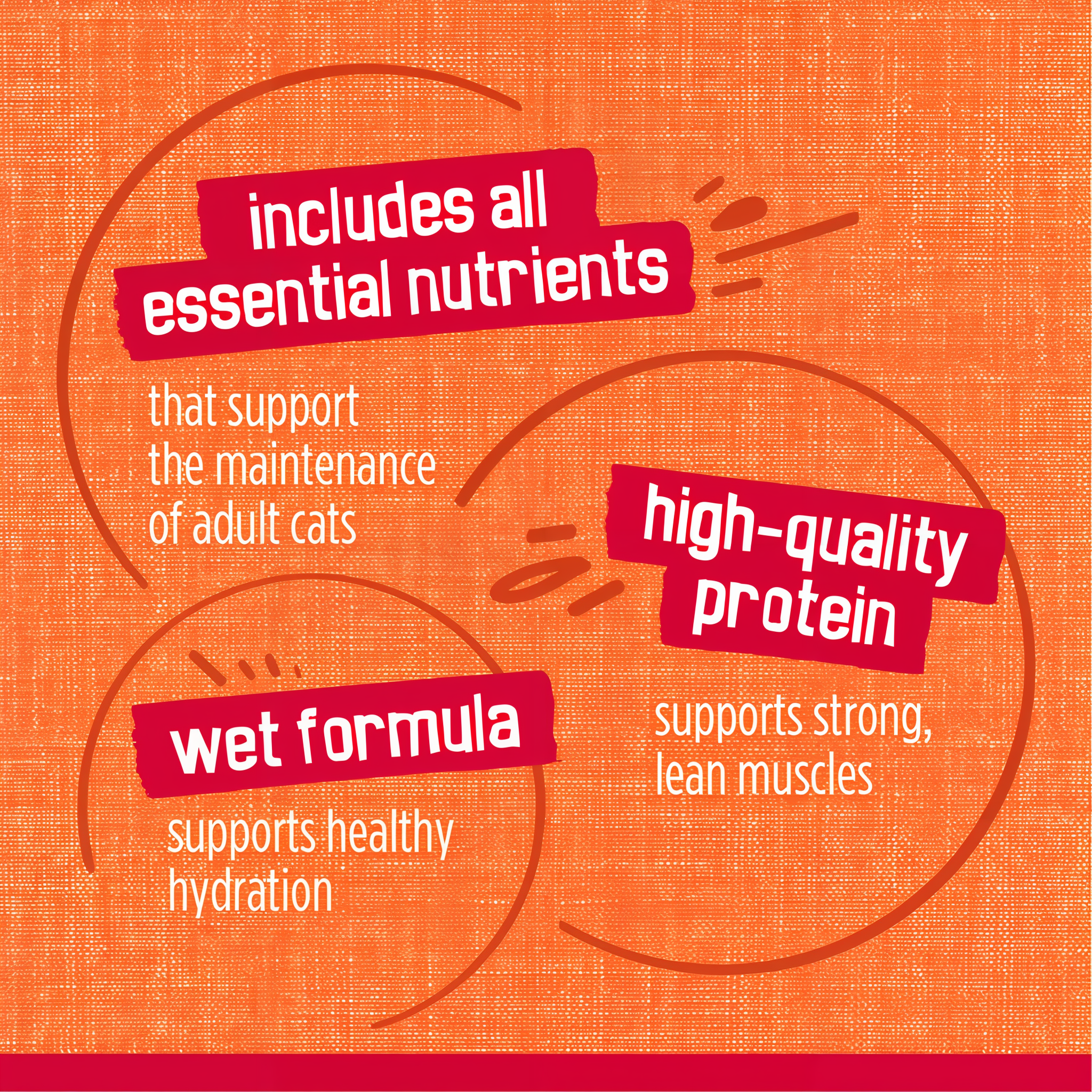 Includes all essential nutrients, high-quality protein and a wet formula that supports hydration