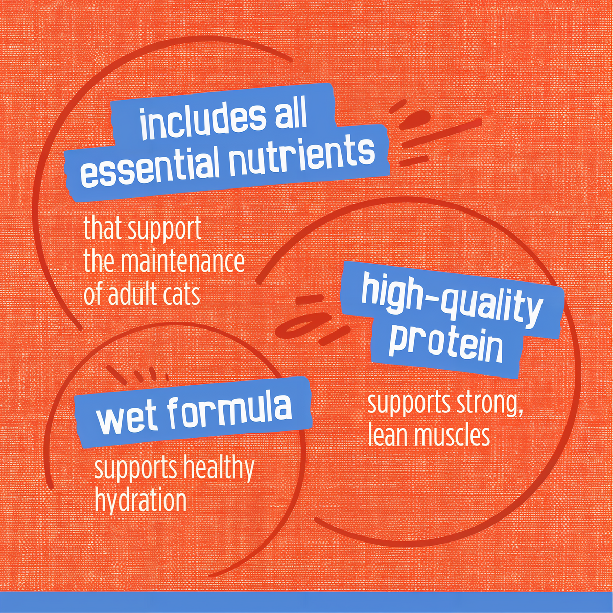Includes all essential nutrients, high-quality protein and a wet formula that supports hydration