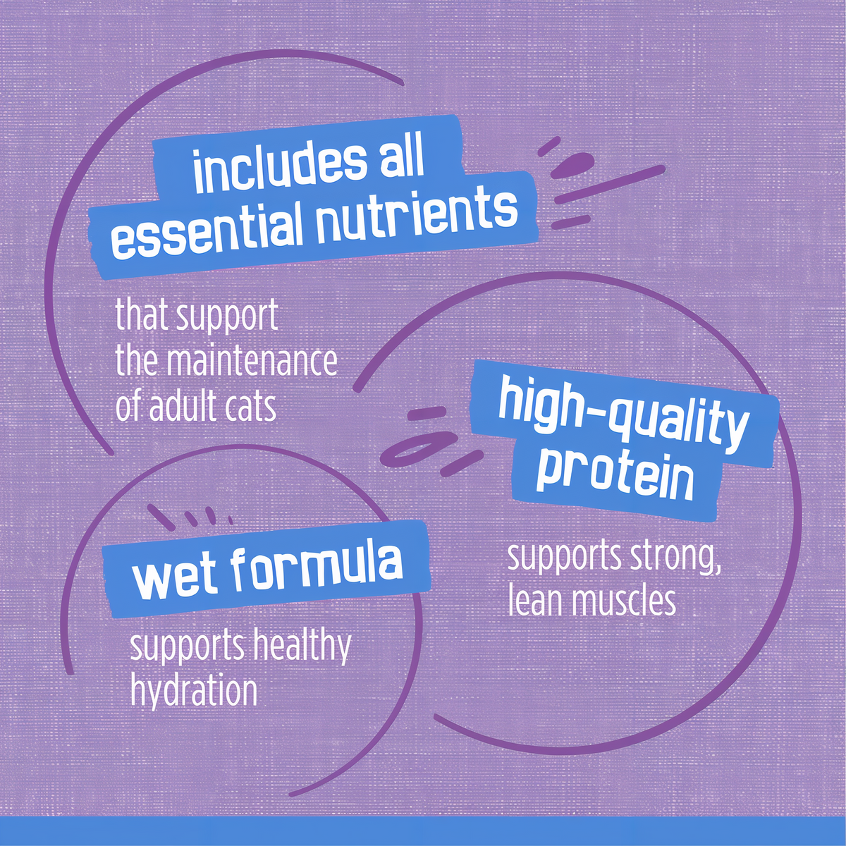 Includes all essential nutrients, high-quality protein and a wet formula that supports hydration