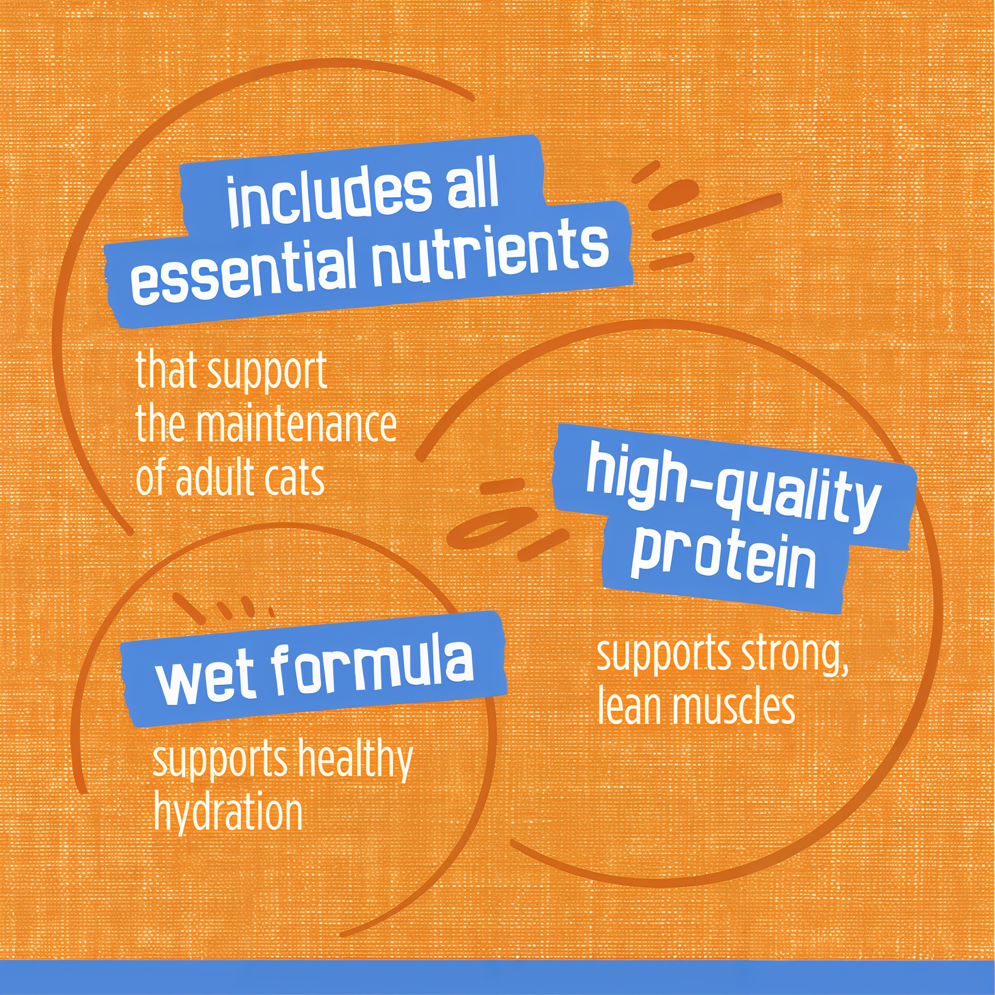 Includes all essential nutrients, high-quality protein and a wet formula that supports hydration