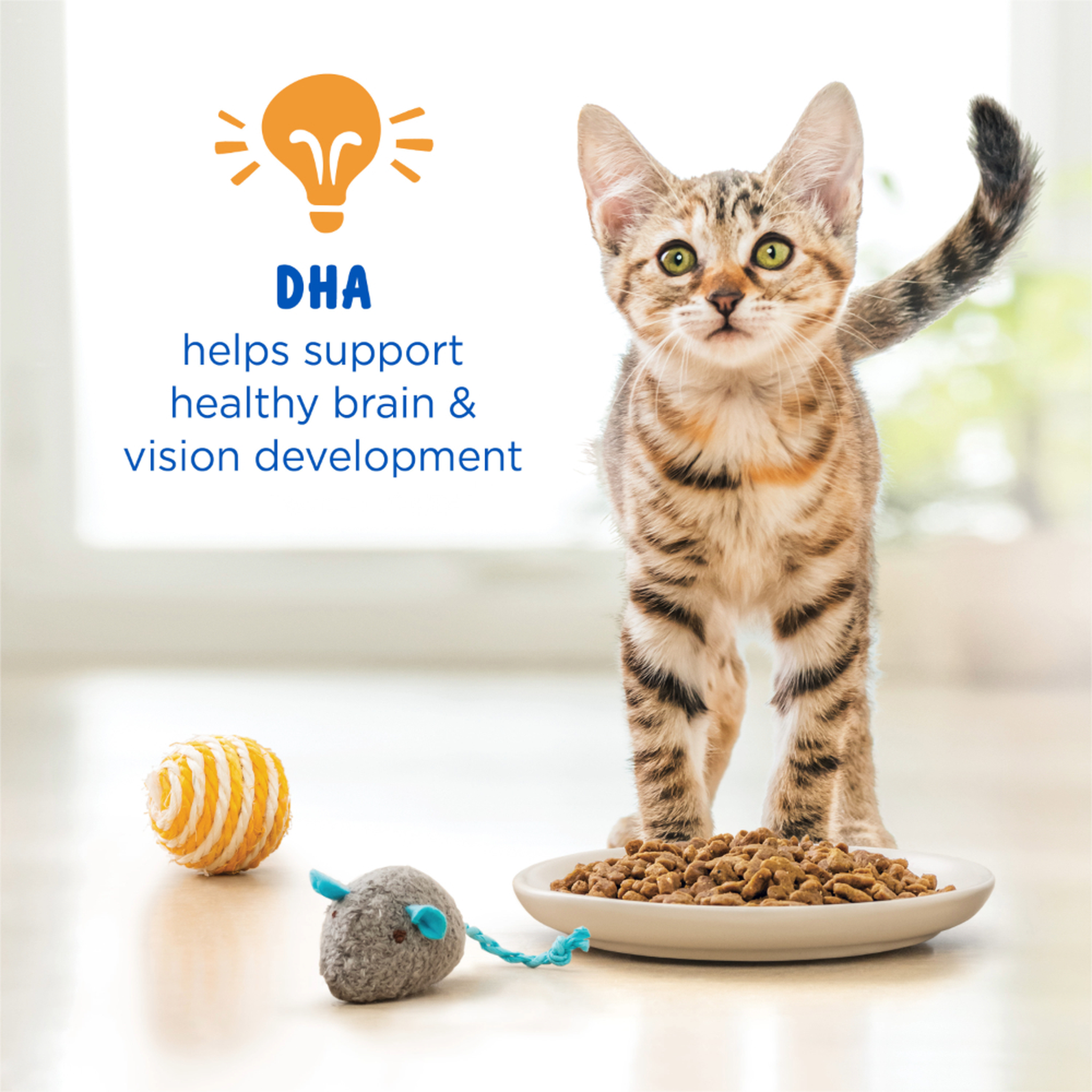 DHA helps support healthy brain and vision development in growing kittens