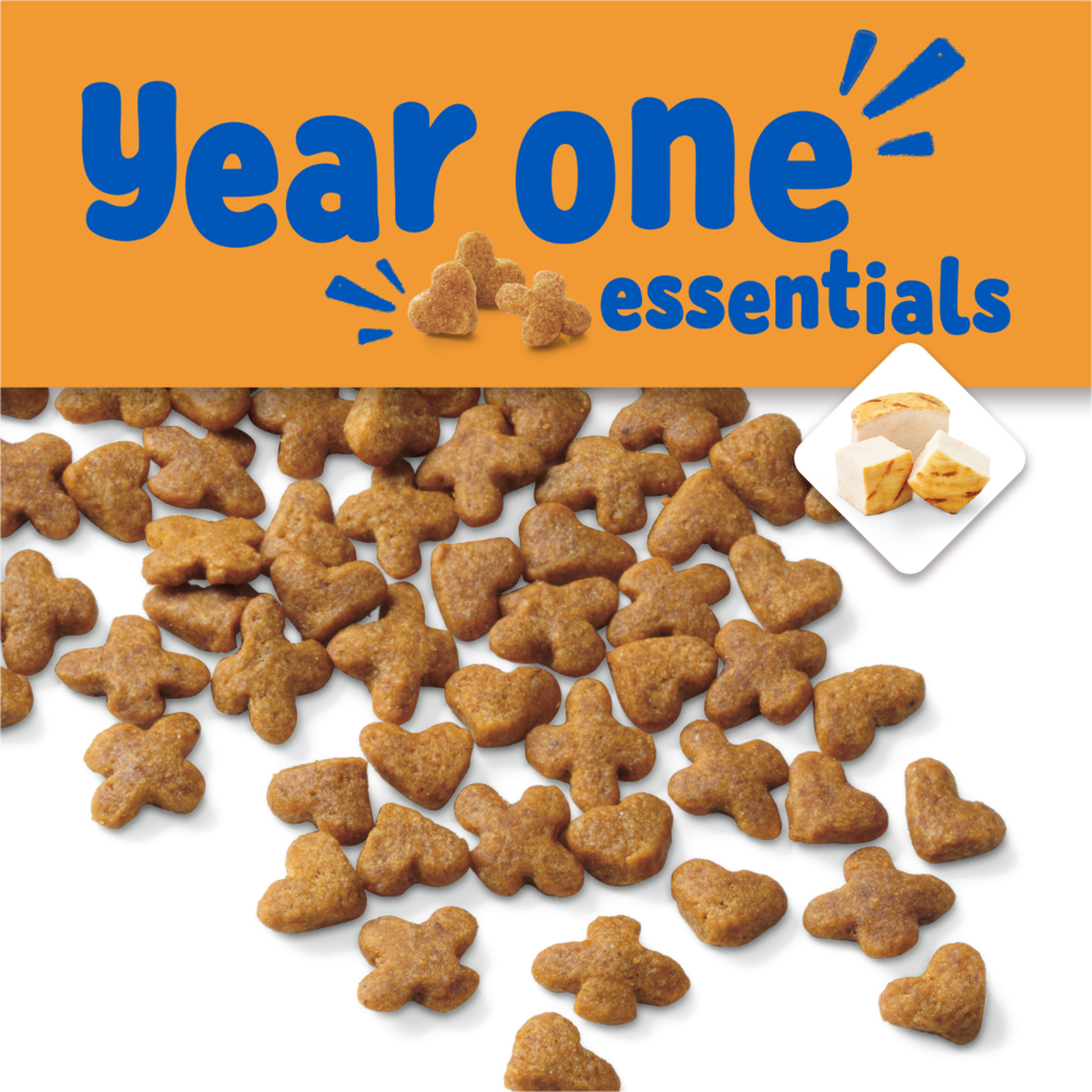 Tiny crunchy Kitten Chow Year One Essentials kibble sized for kitten mouths