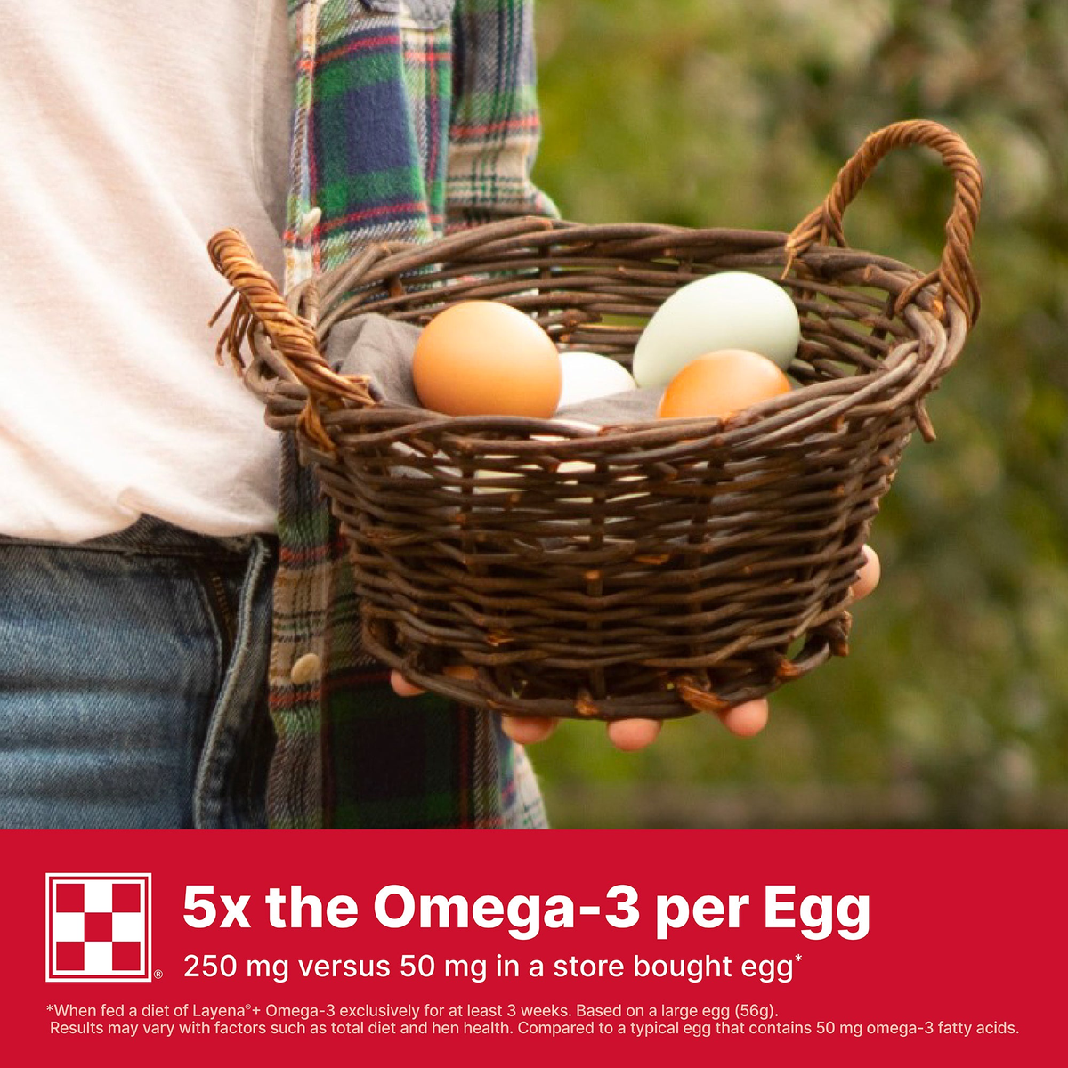 Basket of farm-fresh eggs with 5x the omega-3 per egg benefit banner
