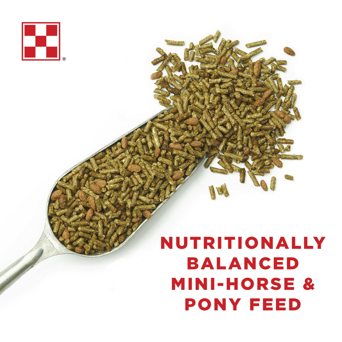Scoop of Purina Miniature Horse and Pony pellets, a nutritionally balanced mini horse feed
