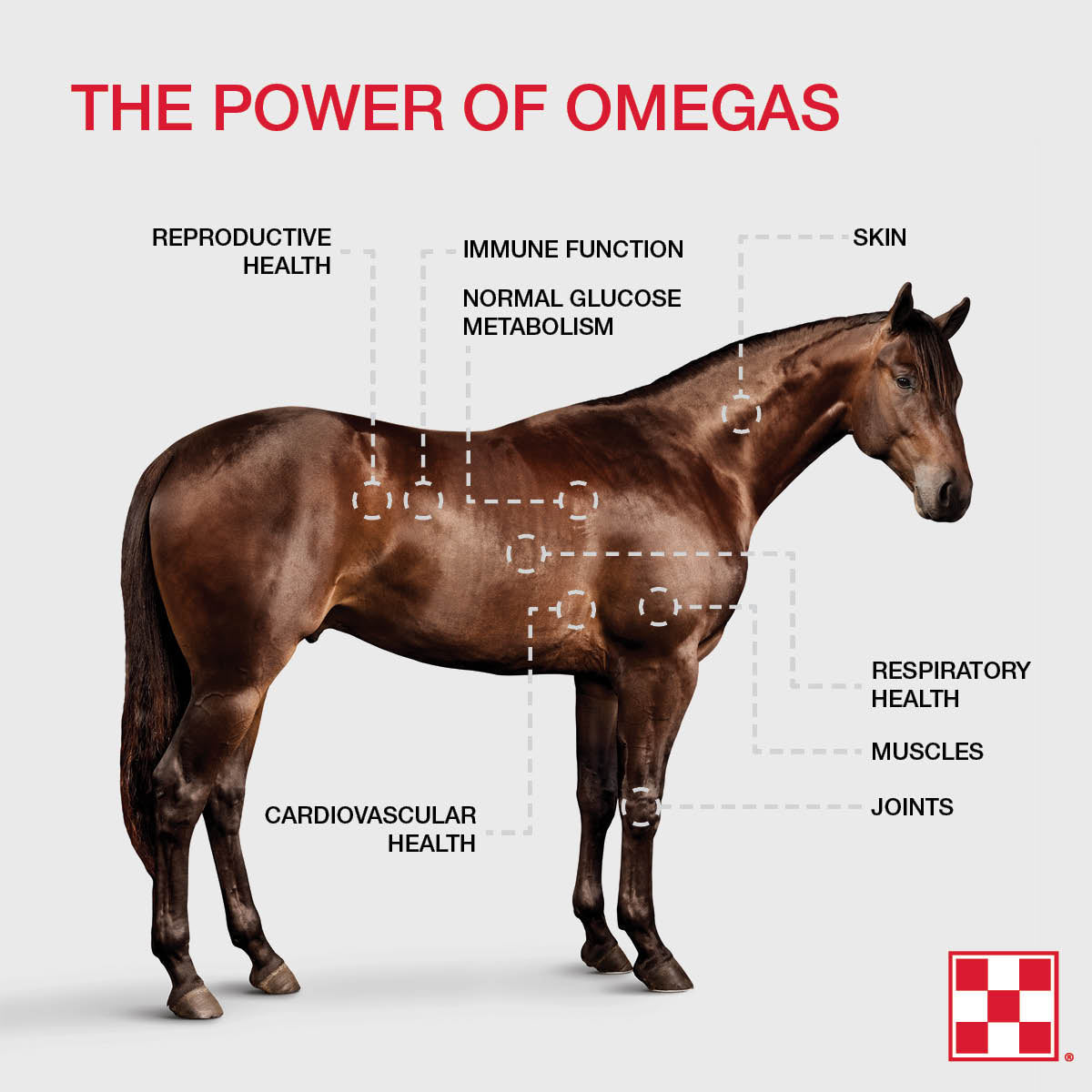 The power of omegas: reproductive health, immune function, skin, glucose metabolism, muscles and joints