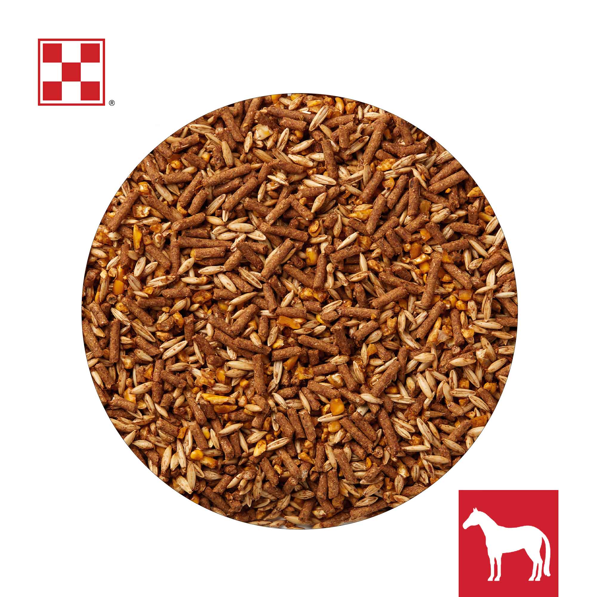 Close-up of Purina Omolene 100 textured horse feed showing whole grains and pellets