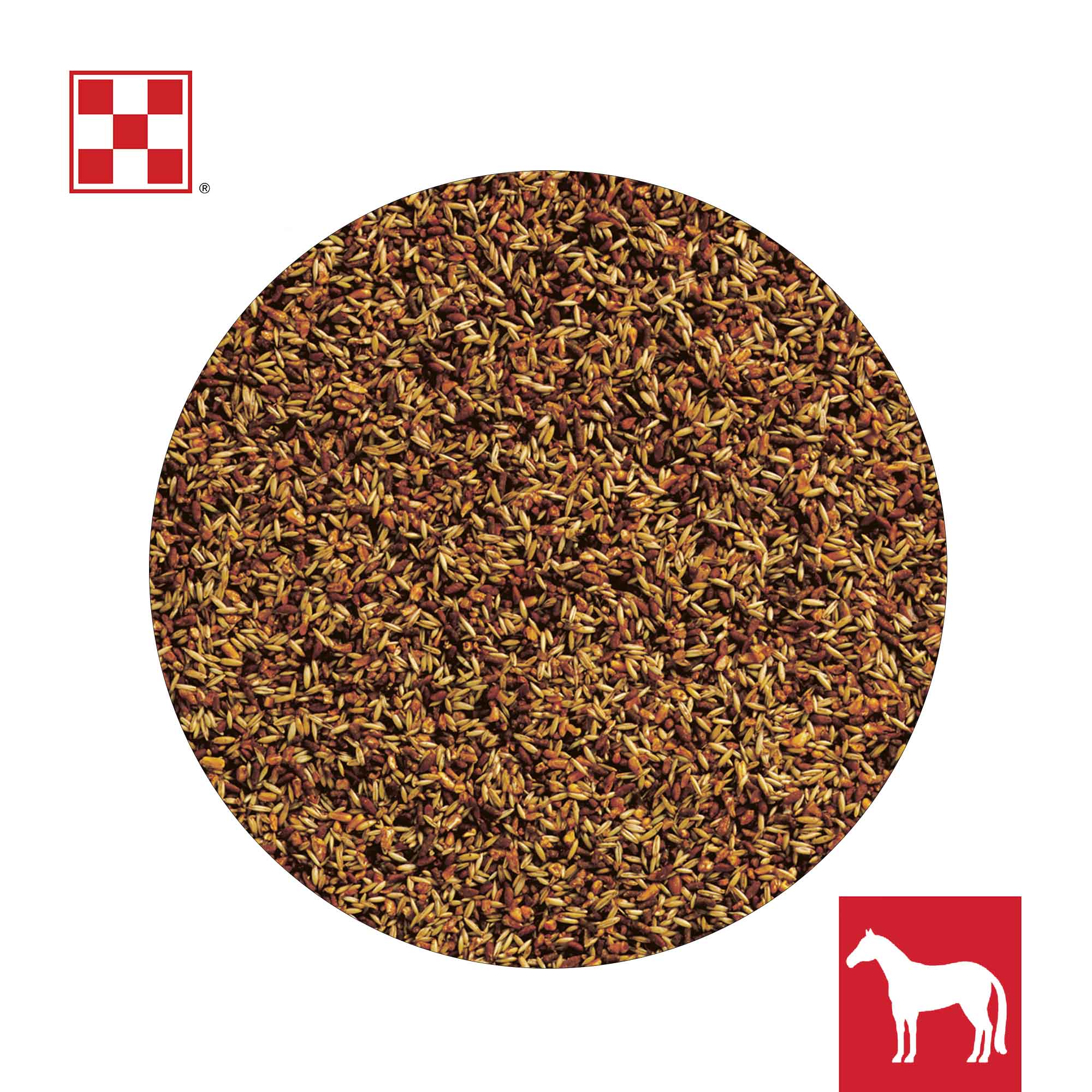 Close-up of Purina Omolene 200 textured horse feed with grains and Amplify high-fat nuggets