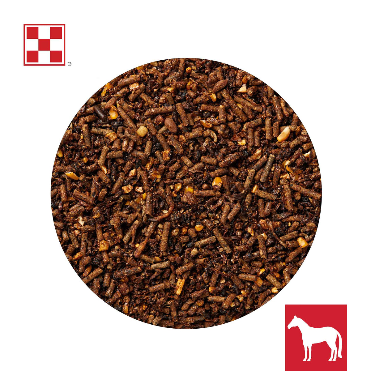 Close-up of Purina Omolene 400 complete horse feed showing beet pulp shreds and grains