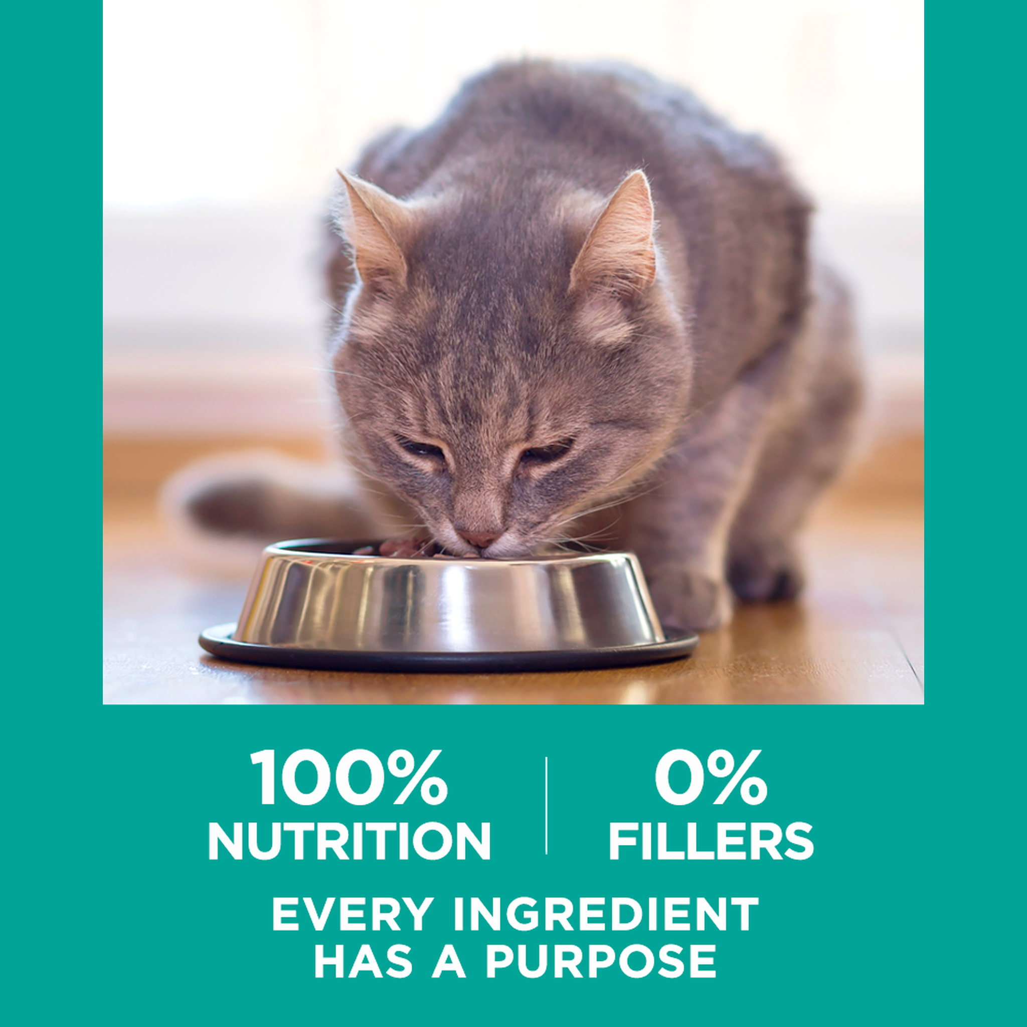 100 percent nutrition and 0 percent fillers, every ingredient has a purpose