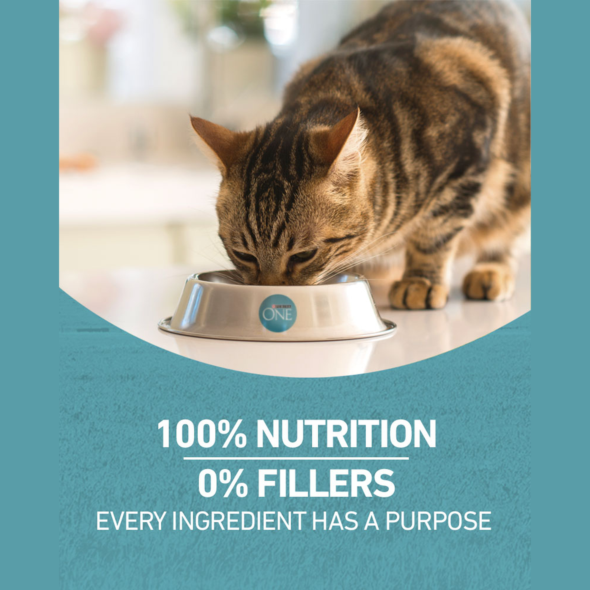 100 percent nutrition and 0 percent fillers, every ingredient has a purpose