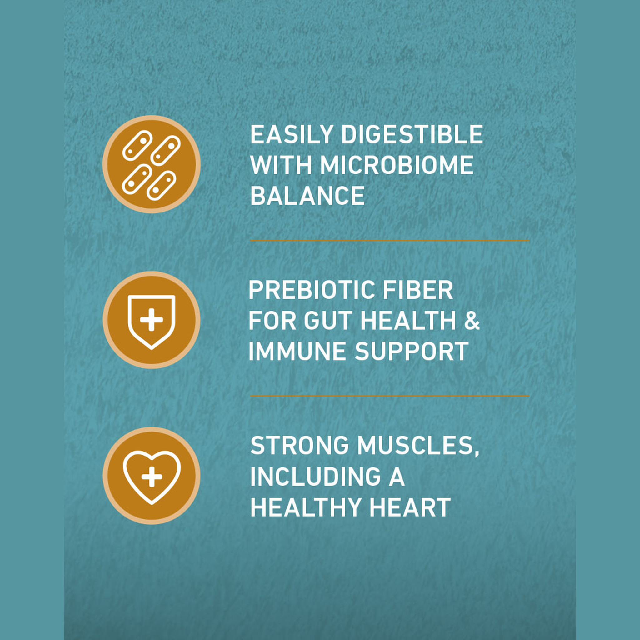 Easily digestible with microbiome balance, prebiotic fiber for gut health and strong muscles including a healthy heart