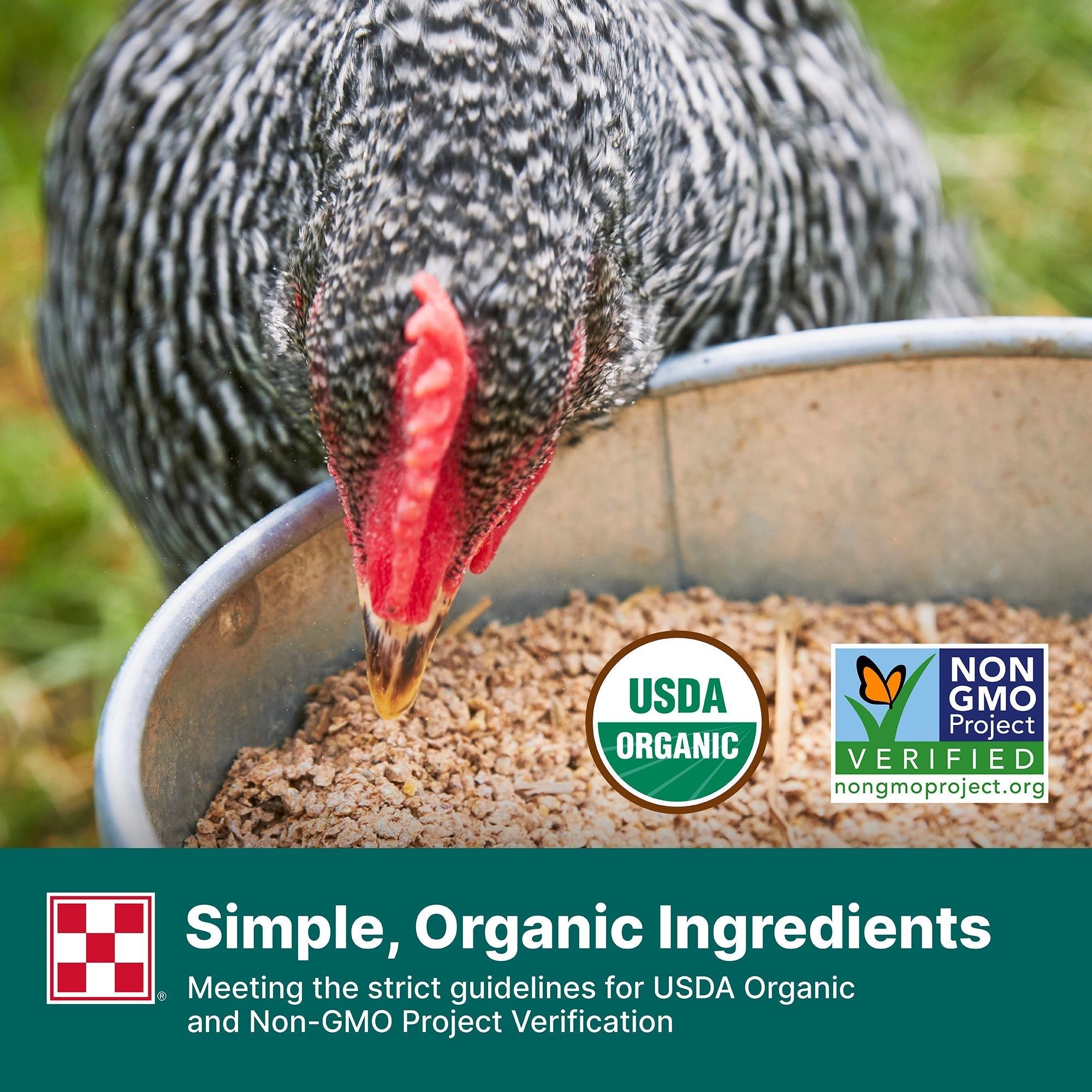Simple organic ingredients meeting USDA Organic and Non-GMO Project Verification guidelines