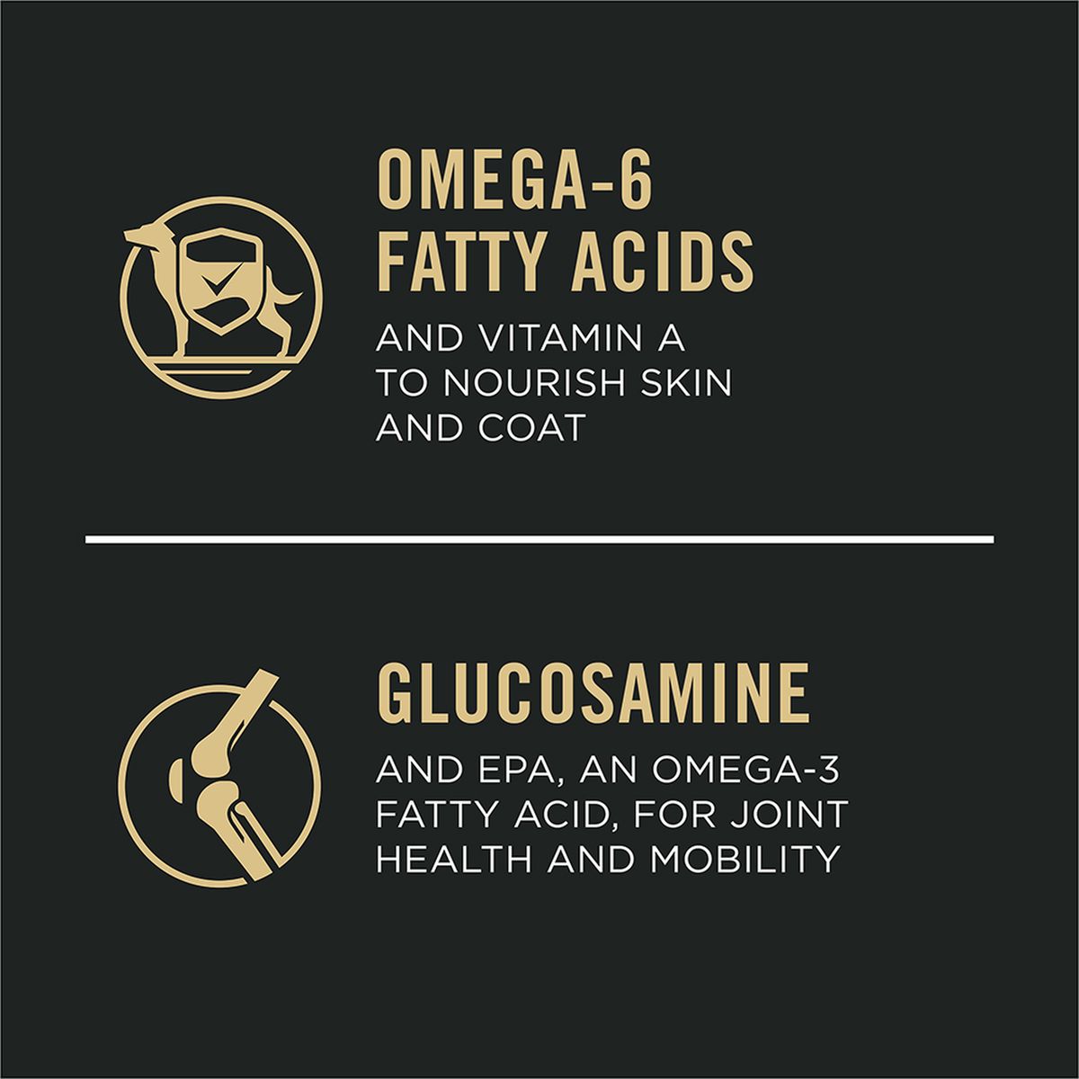 Omega-6 fatty acids and vitamin A nourish skin and coat, glucosamine and EPA for joint health