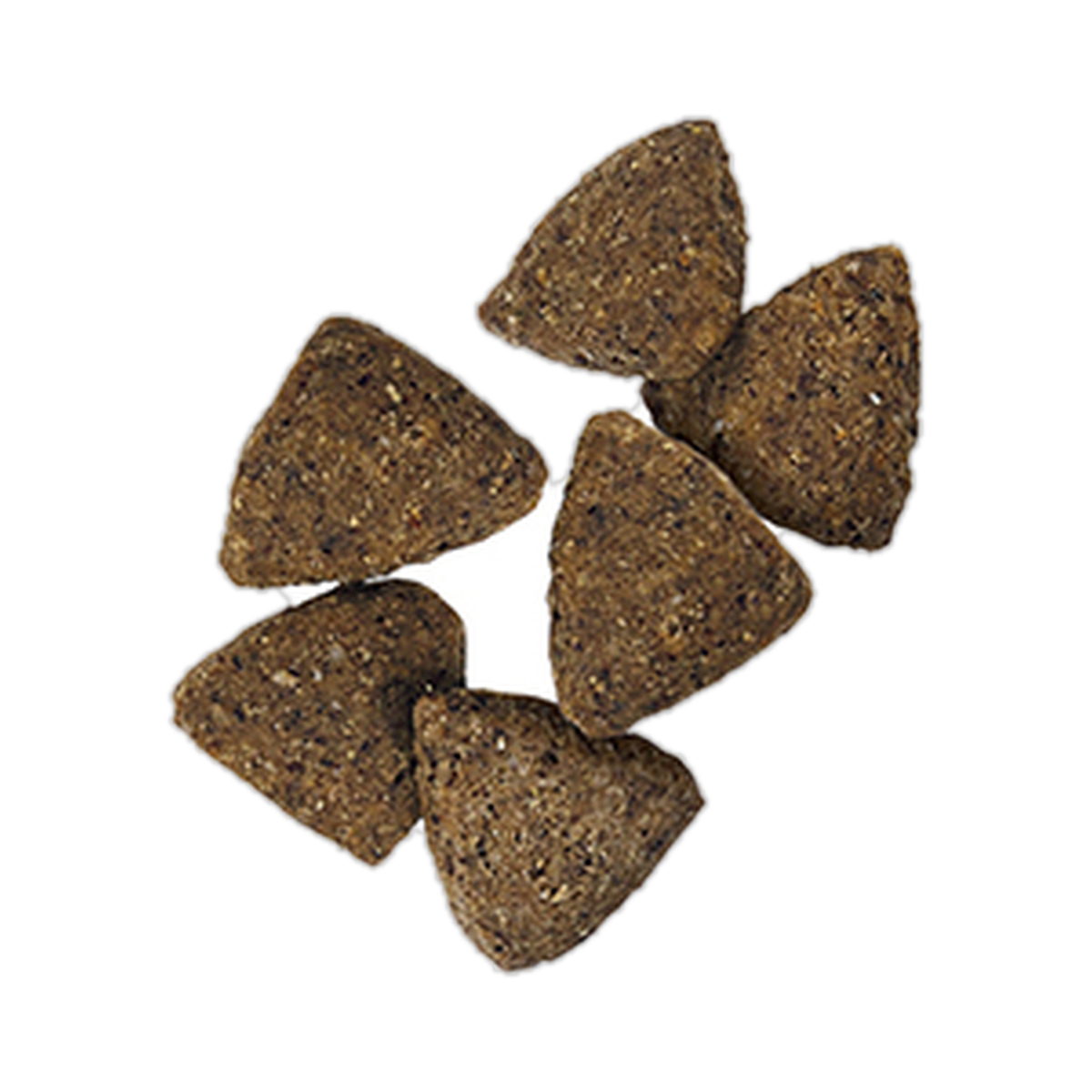 Pro Plan Sensitive Skin and Stomach salmon and rice kibble close up