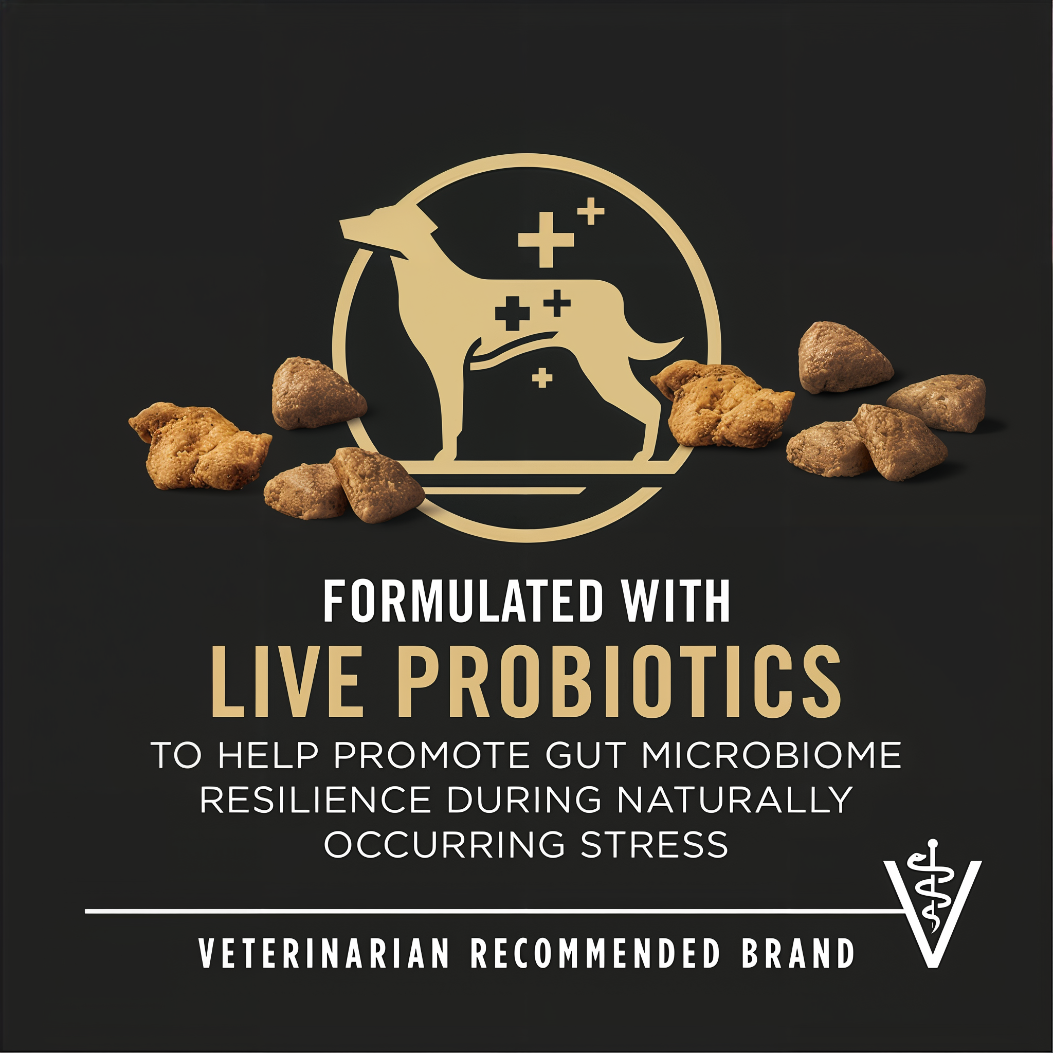 Formulated with live probiotics for gut microbiome resilience from a veterinarian recommended brand