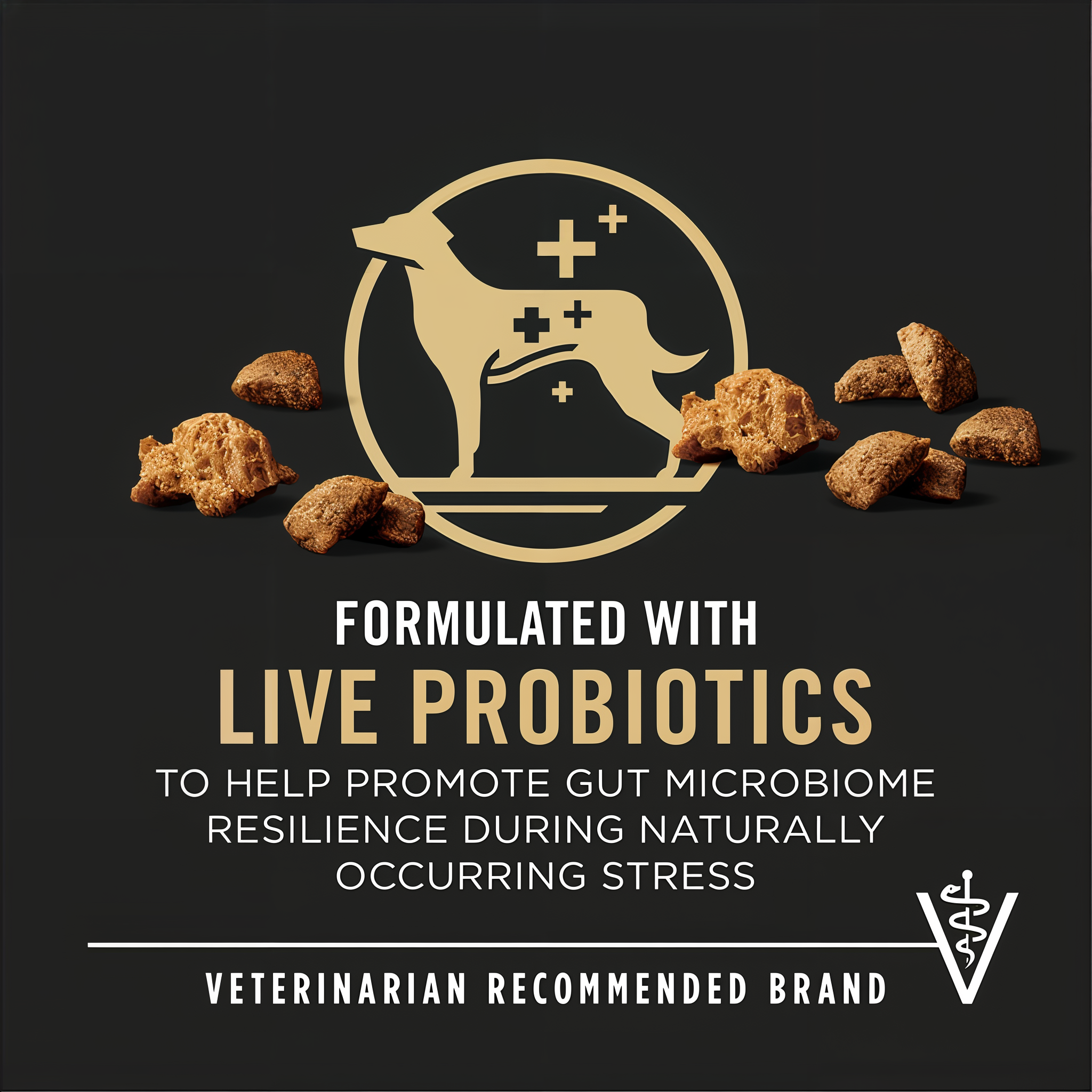 Formulated with live probiotics for gut microbiome resilience from a veterinarian recommended brand