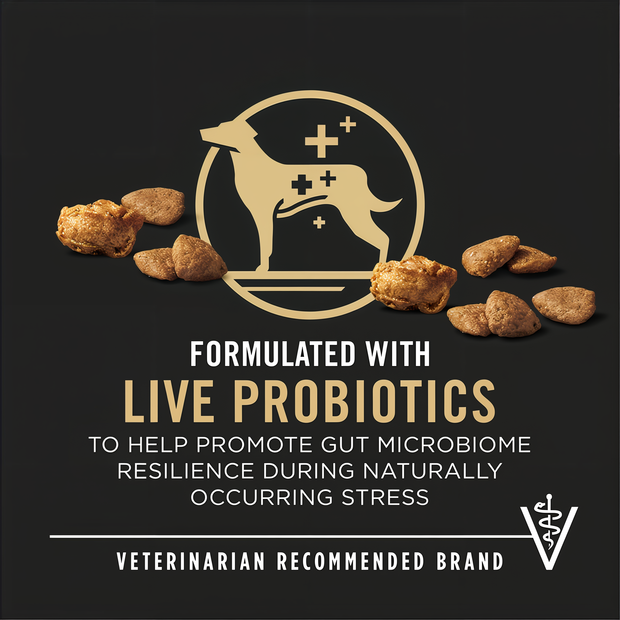 Formulated with live probiotics for gut microbiome resilience from a veterinarian recommended brand