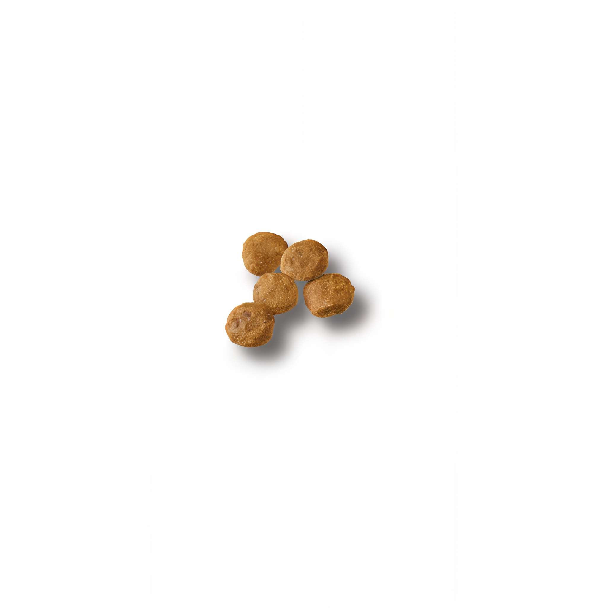 Close-up of Purina Pro Plan Puppy chicken and rice kibble