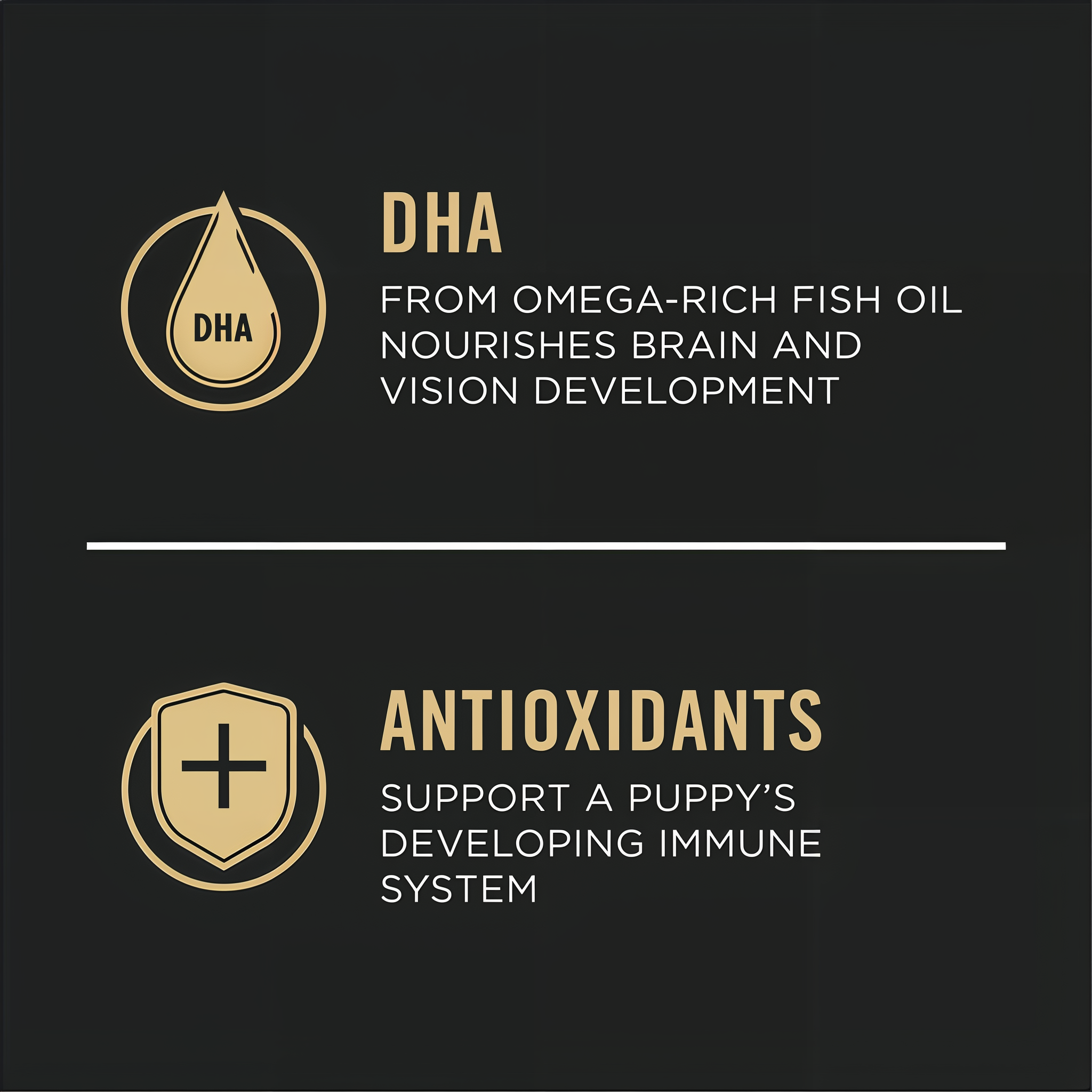 DHA from omega-rich fish oil nourishes brain and vision development with antioxidants for immune support