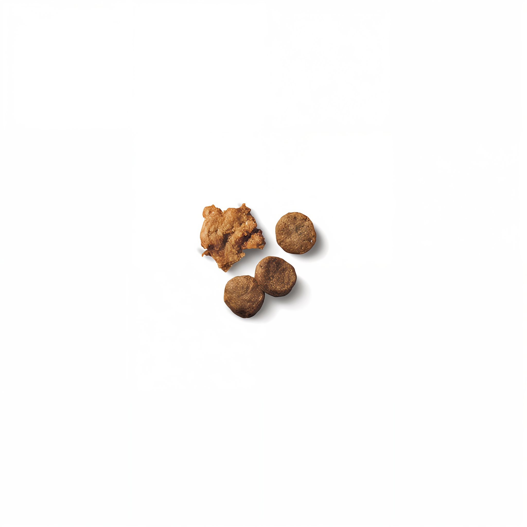 Close-up of Pro Plan Puppy Shredded Blend crunchy kibble and tender shredded pieces