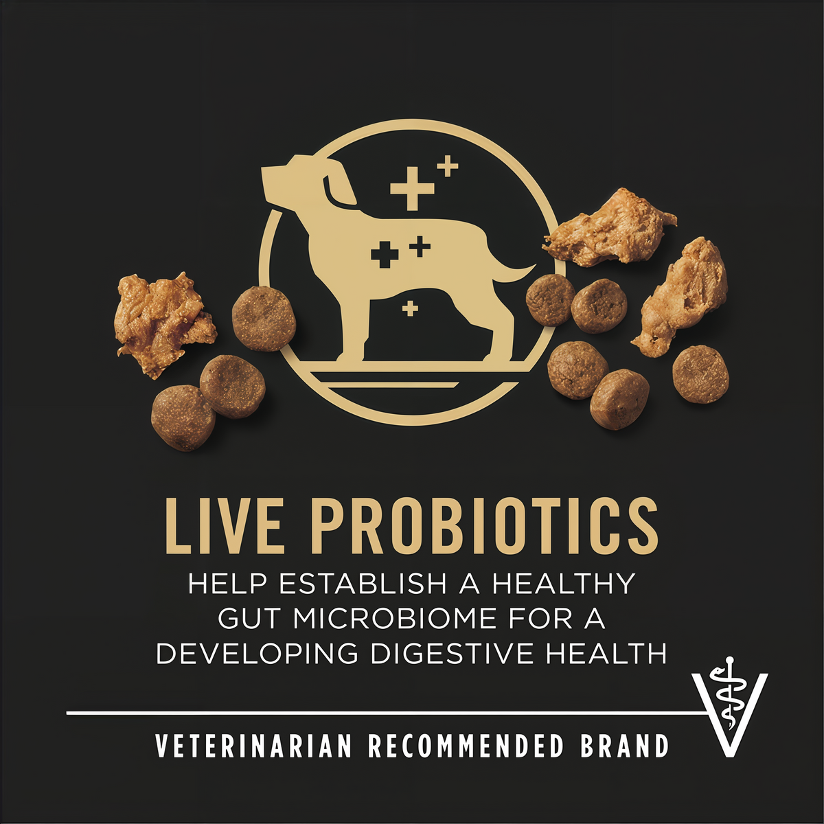 Live probiotics help establish a healthy gut microbiome, from a veterinarian recommended brand