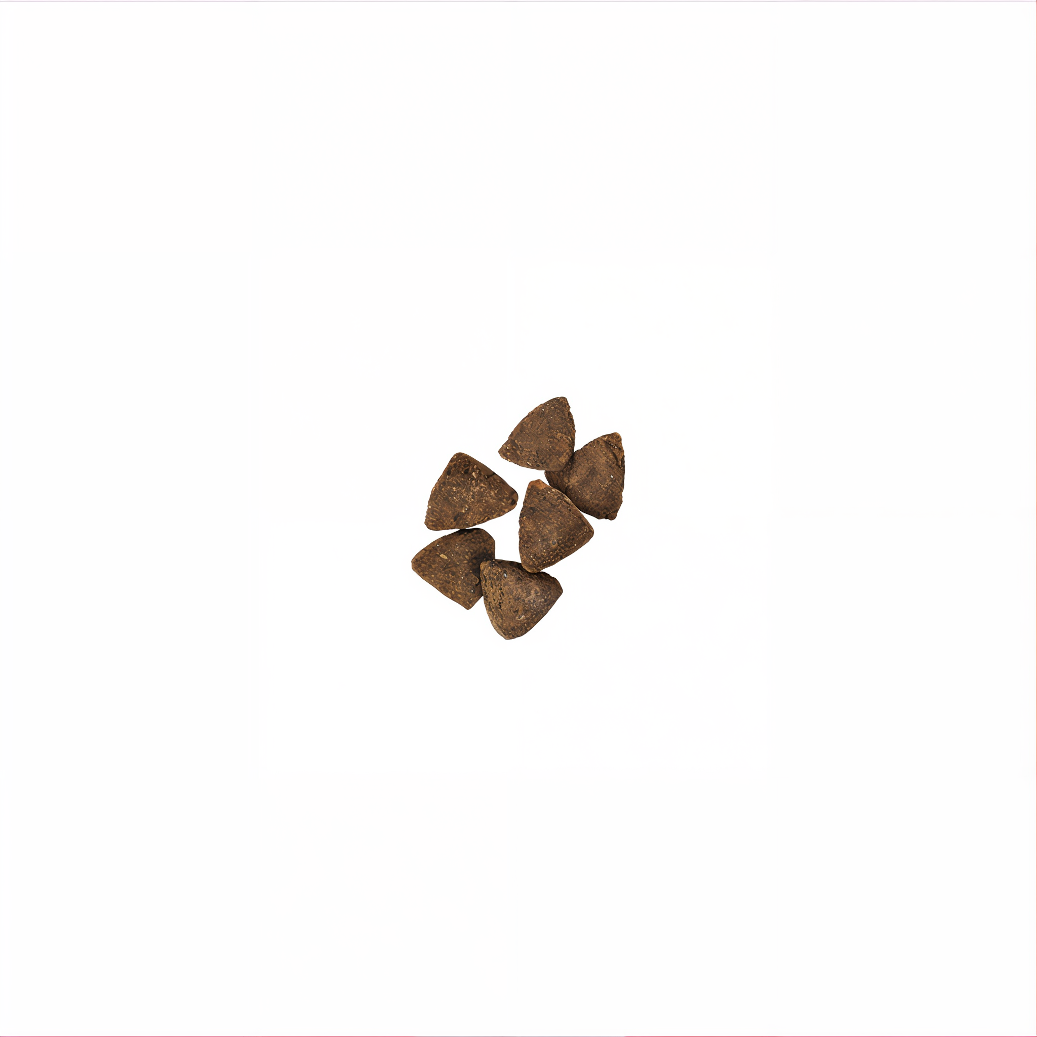 Close-up of Purina Pro Plan Sensitive Skin and Stomach lamb and oat meal kibble pieces