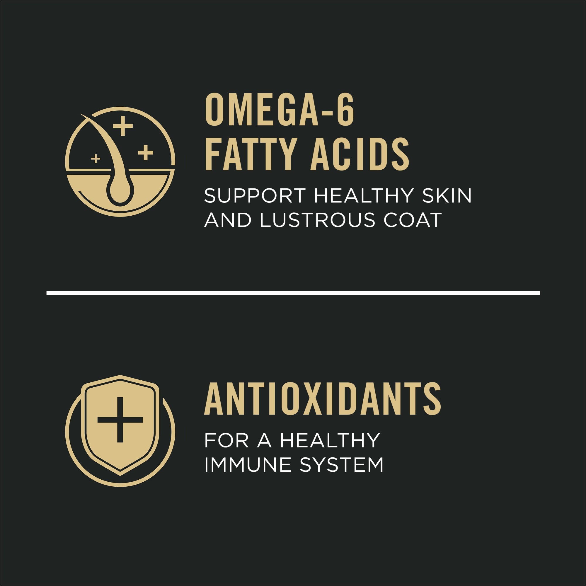 Omega-6 fatty acids support healthy skin and a lustrous coat, antioxidants for a healthy immune system