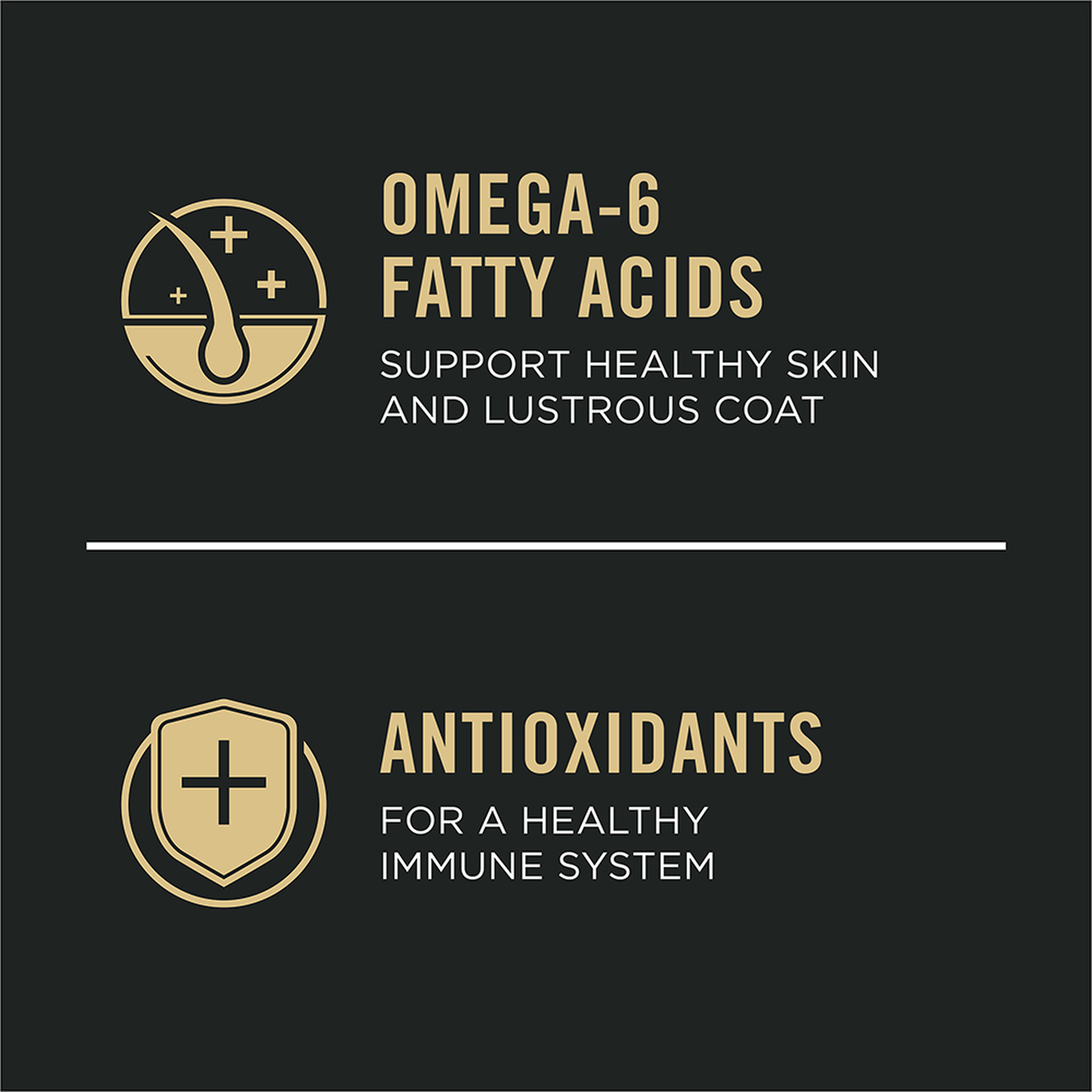 Omega-6 fatty acids support healthy skin and lustrous coat, antioxidants for a healthy immune system