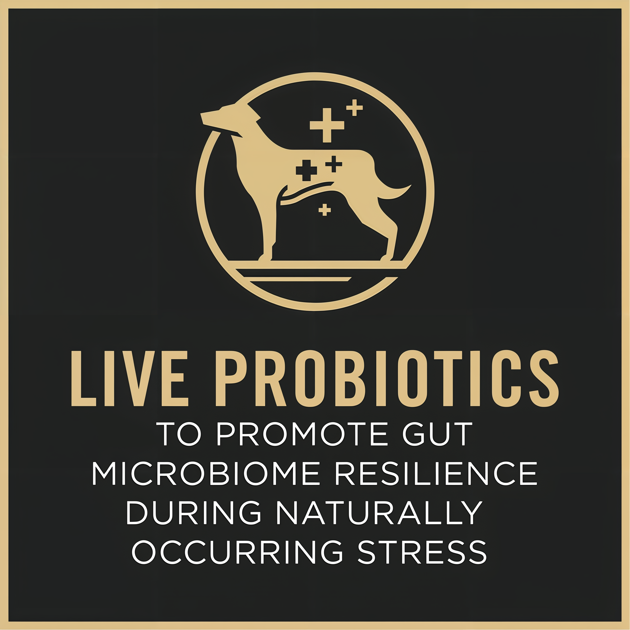 Package label panel highlighting guaranteed live probiotics for digestive and immune health