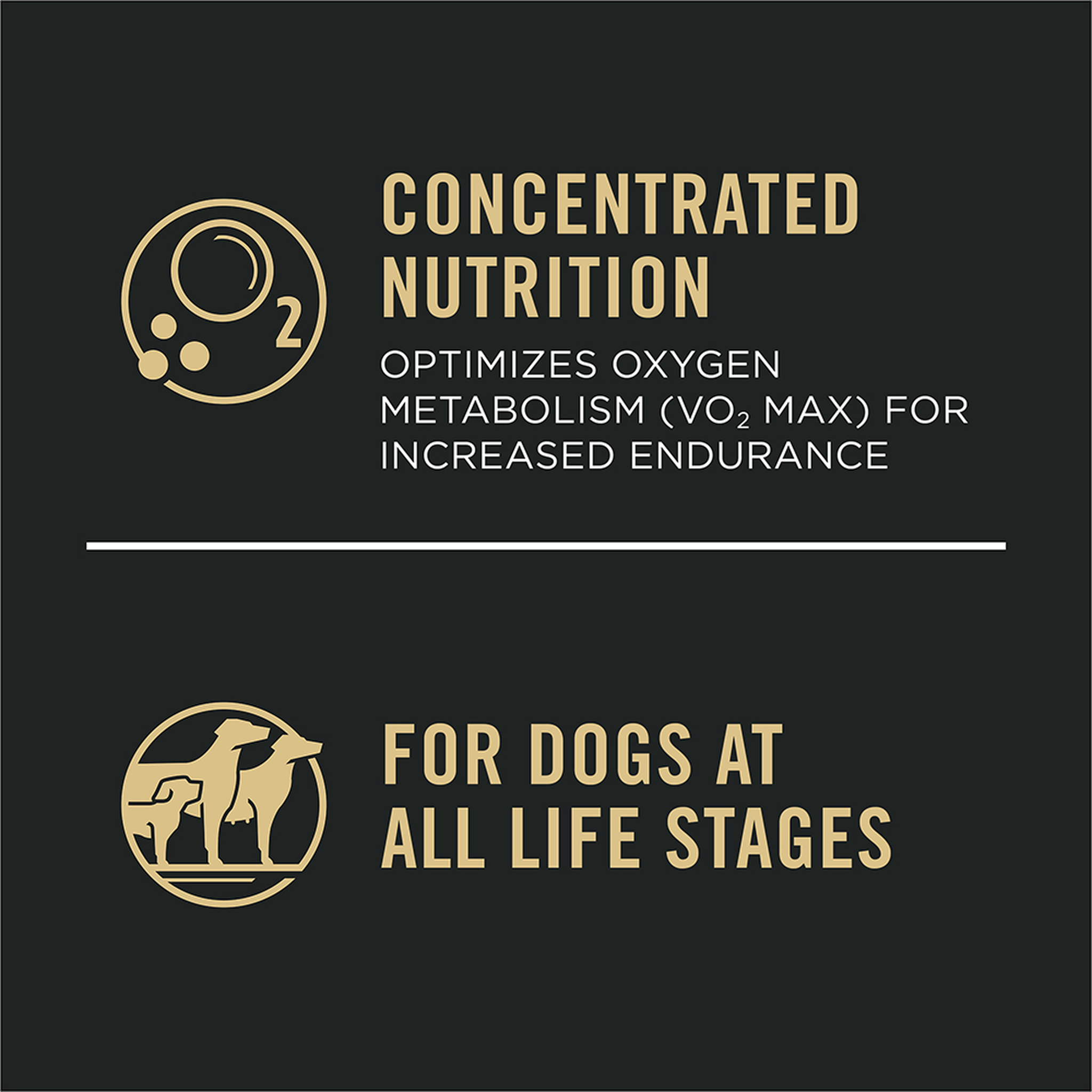 Concentrated nutrition optimizes oxygen metabolism VO2 max for endurance, for dogs at all life stages