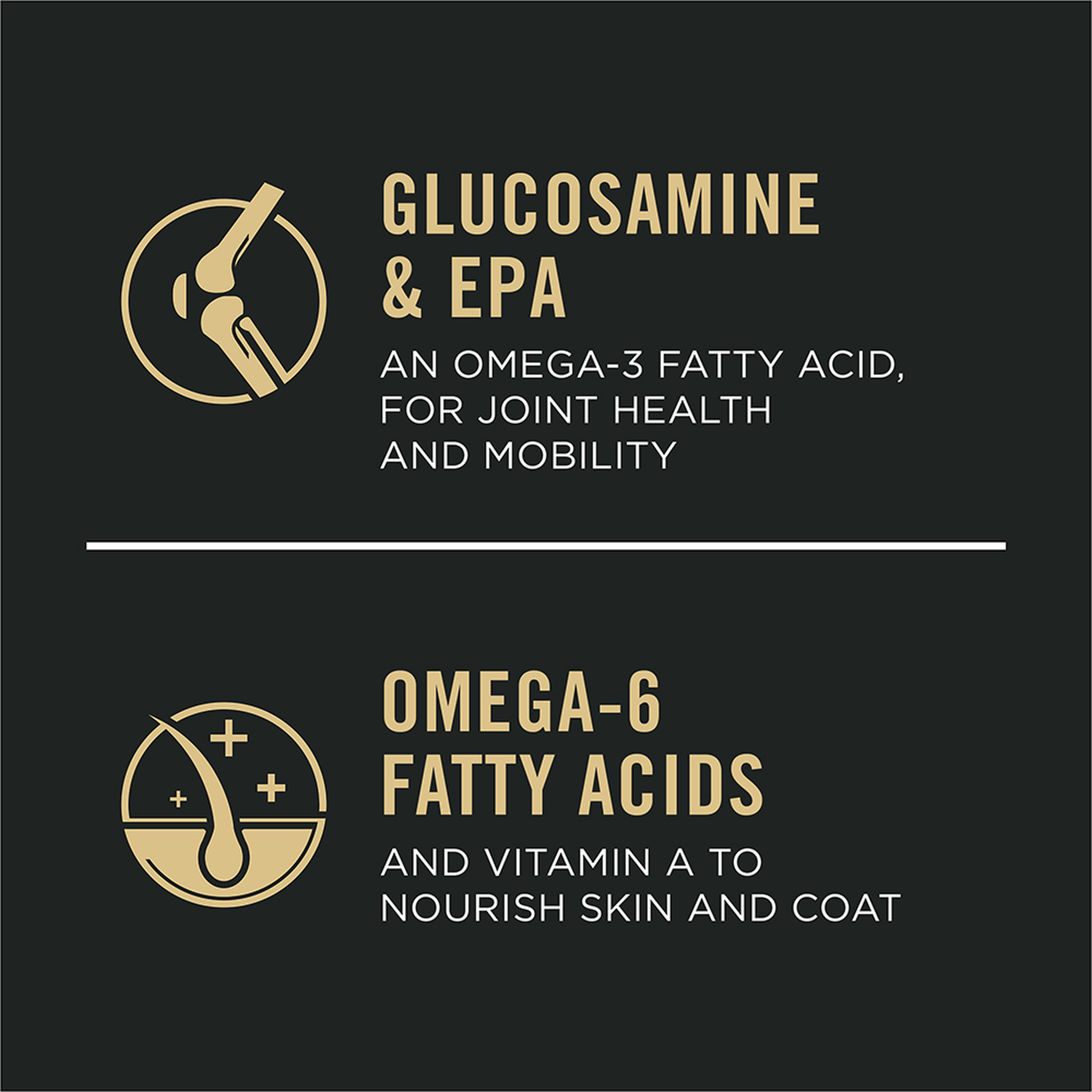 Glucosamine and EPA for joint health and mobility, omega-6 fatty acids and vitamin A for skin and coat