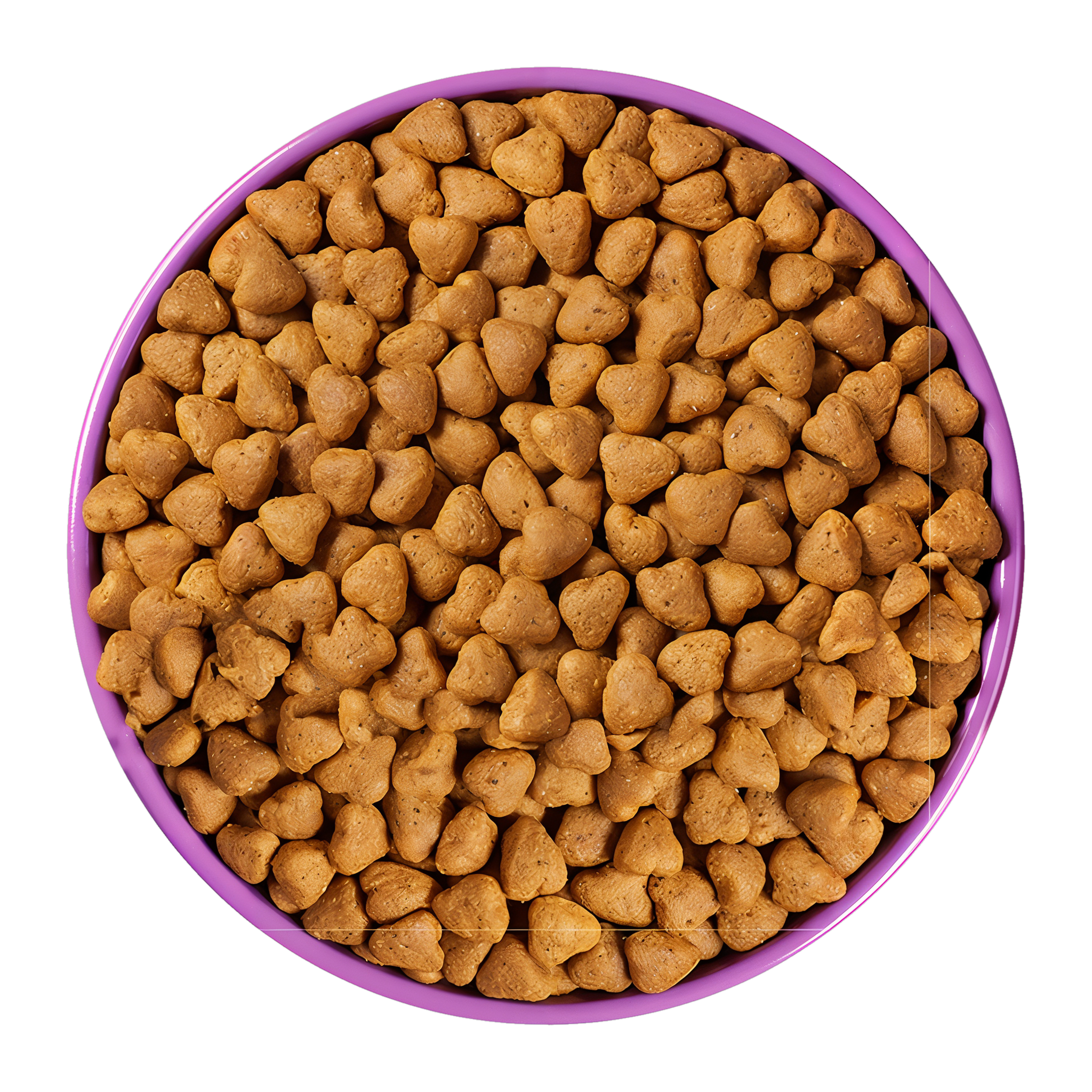 Bowl of Pro Plan Sport Performance 30/20 chicken and rice kibble