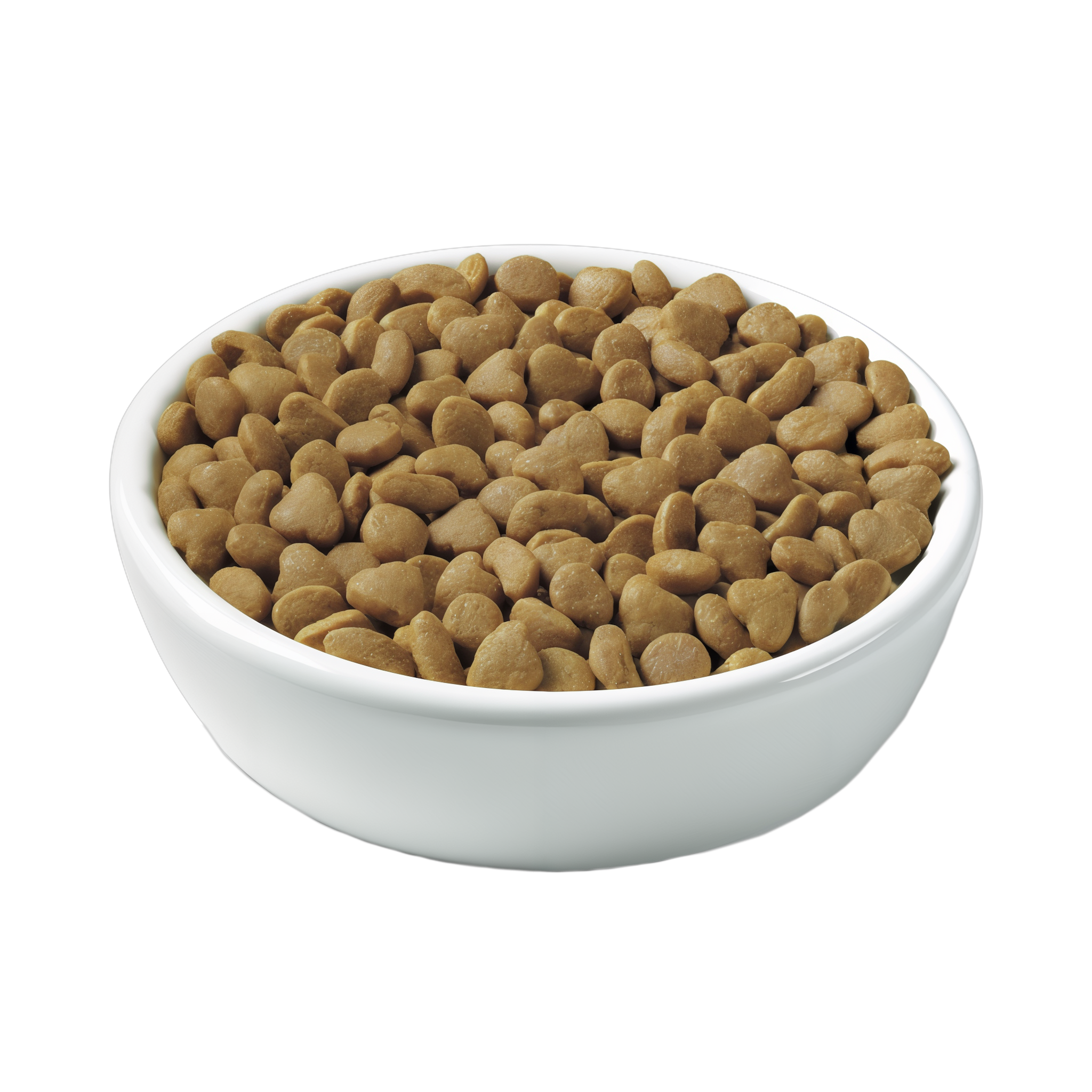 Bowl of Purina Pro Plan Adult Urinary Tract Health Chicken & Rice Formula dry cat food kibble
