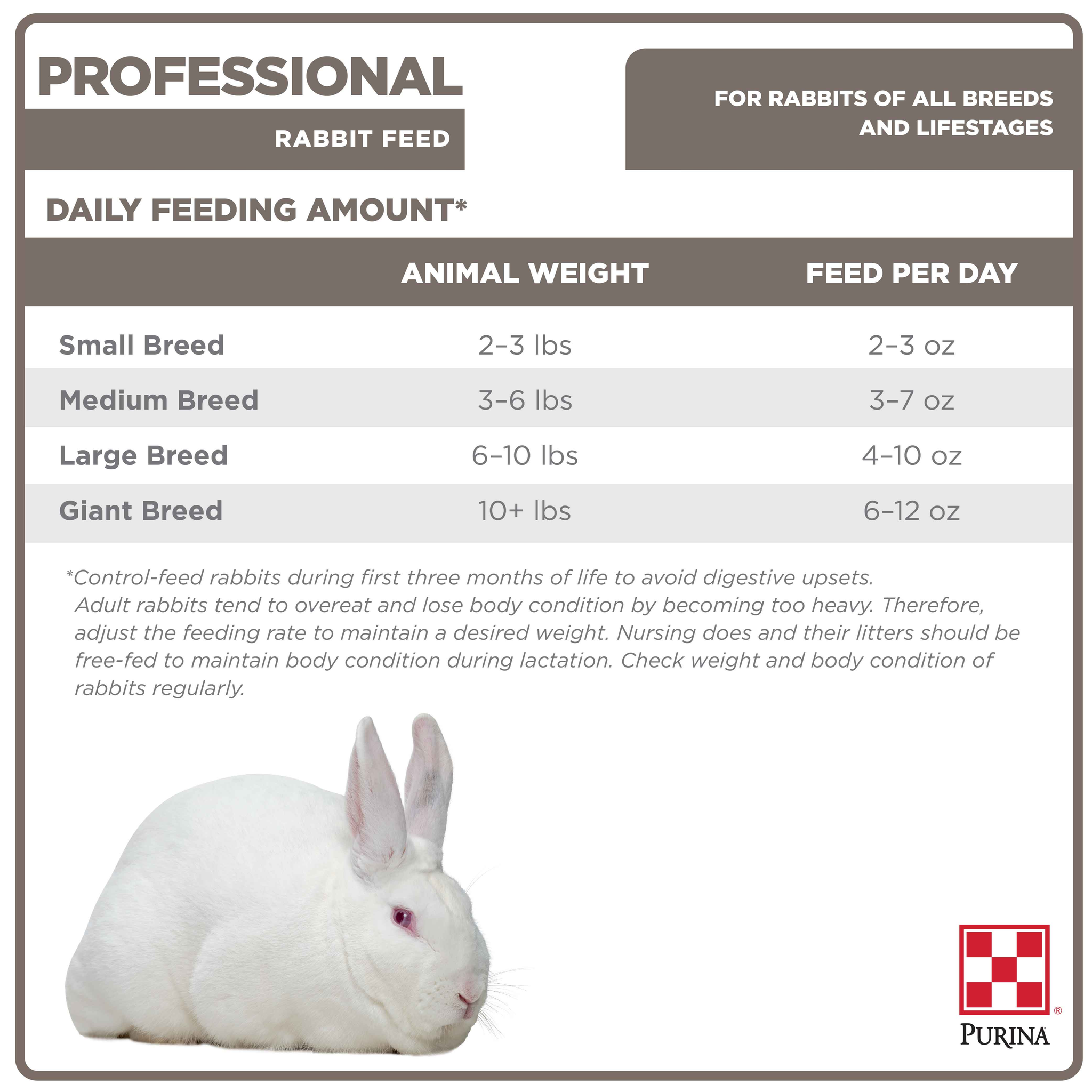 Professional Rabbit Feed daily feeding amount chart by rabbit breed size