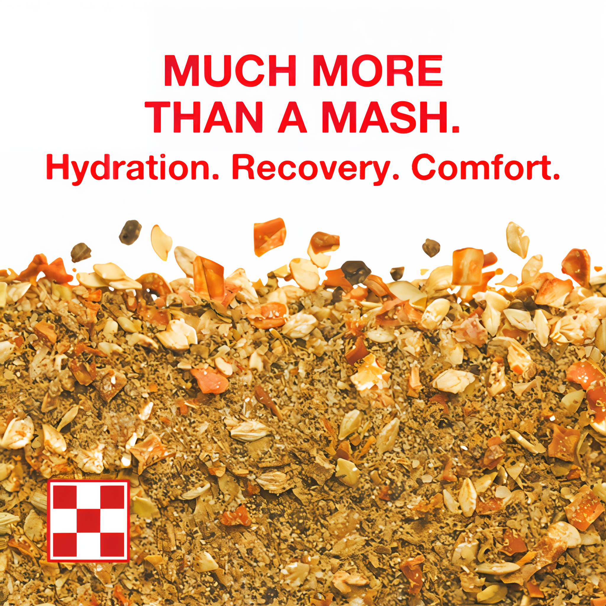 Close-up of Purina RepleniMash textured mash for hydration, recovery and comfort