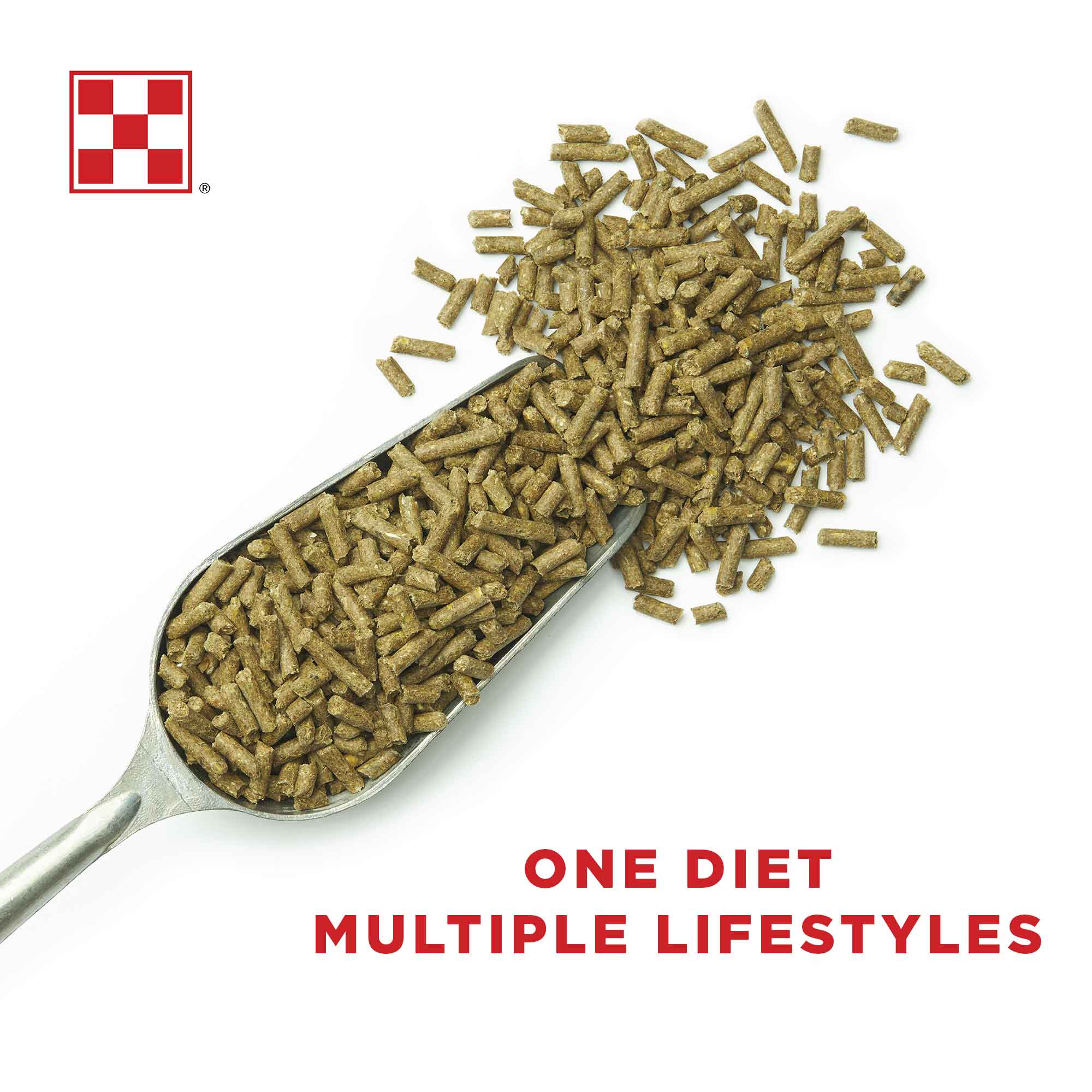 Scoop of Purina Strategy GX horse feed pellets with the one diet, multiple lifestyles message