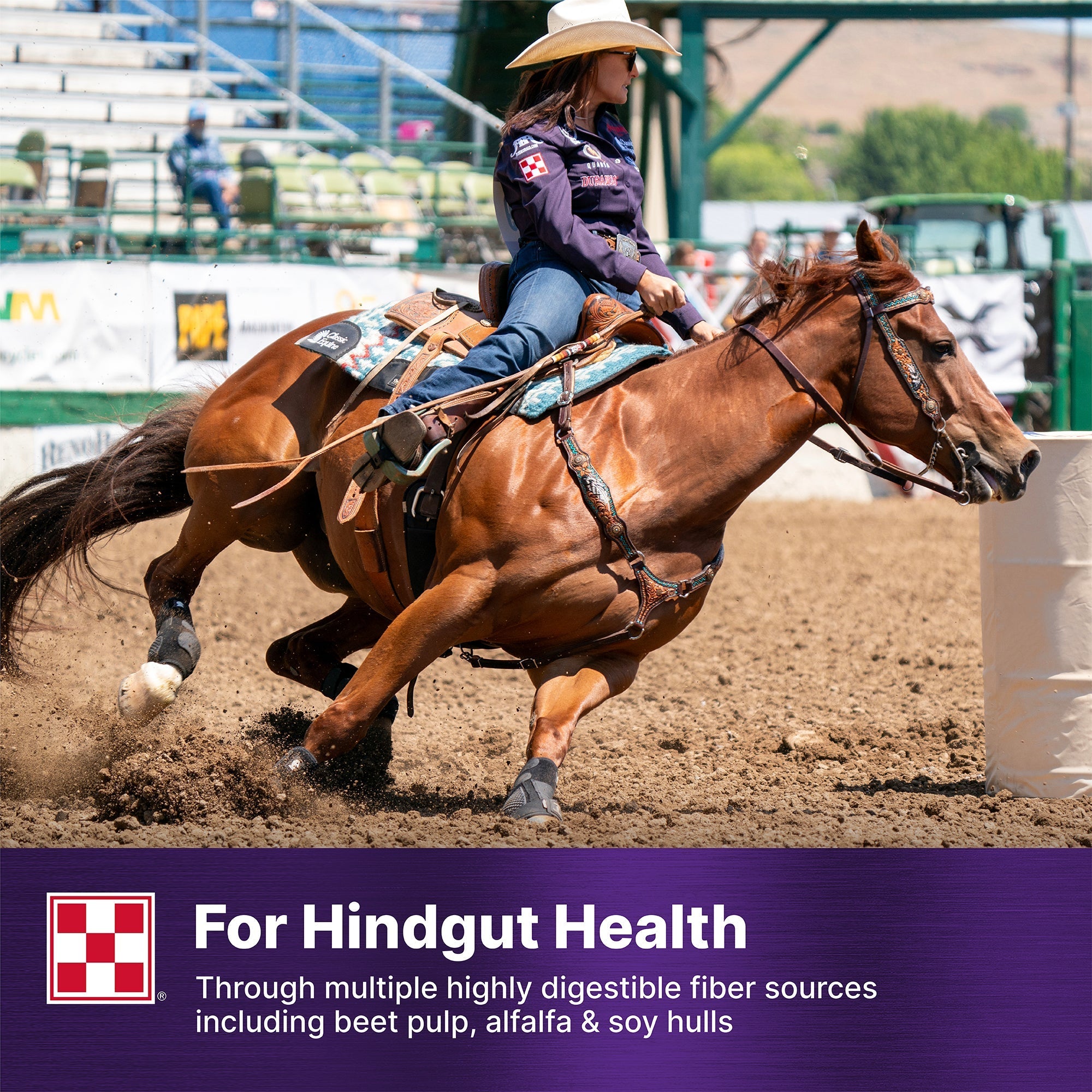 Barrel racing horse, Ultium Gastric Care supports hindgut health with beet pulp, alfalfa and soy hulls