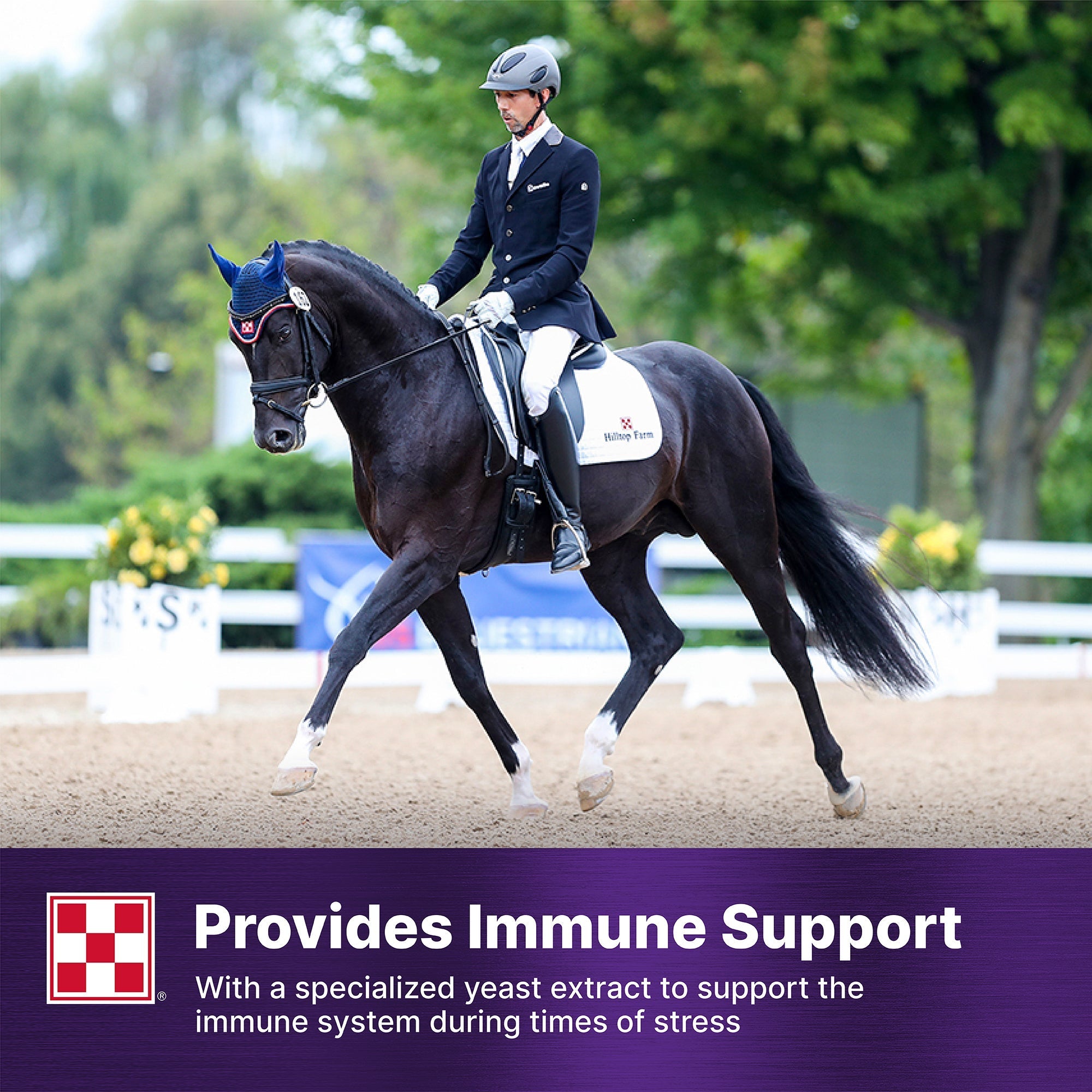 Dressage horse and rider, Ultium Gastric Care provides immune support with a specialized yeast extract