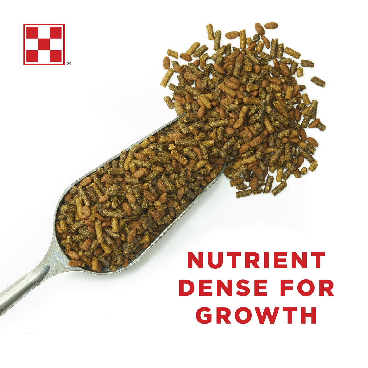 Scoop of Purina Ultium Growth pellets, nutrient dense for growing horses