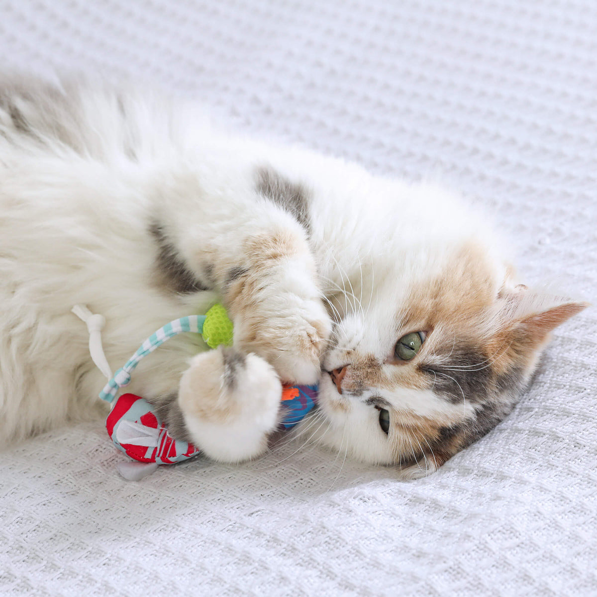 Calico cat lying on its side hugging two Quirky Kitty Cool Mice toys