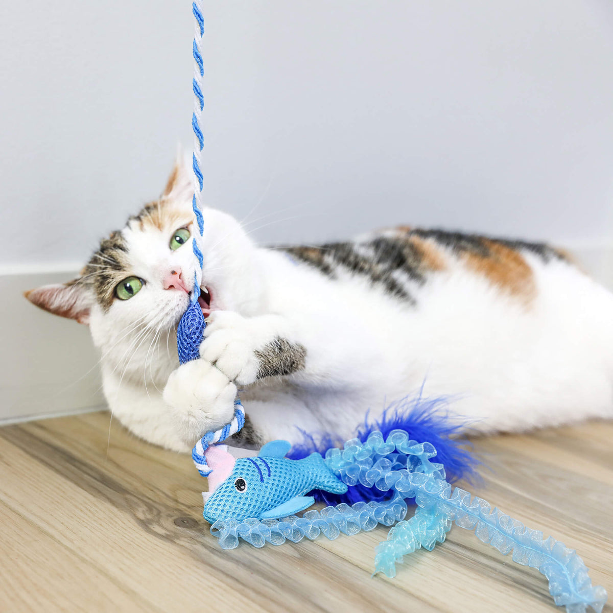 Cat catching the plush shark of the Quirky Kitty Cool Shark Wand on a wood floor