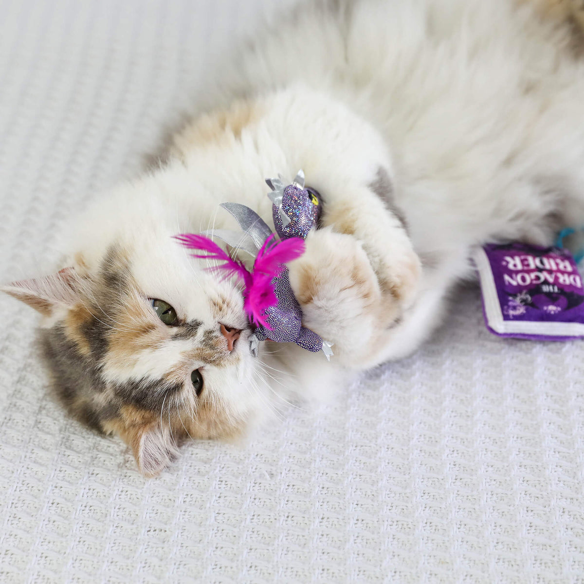 Fluffy calico cat on a white blanket hugging the sparkly purple dragon catnip toy