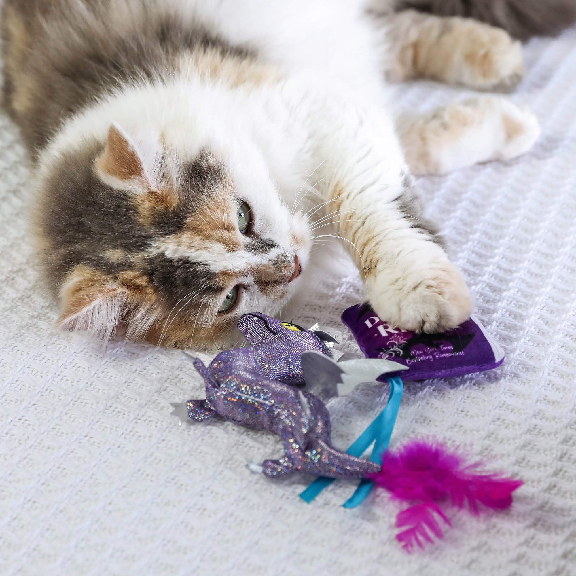 Calico cat lying on a blanket with a paw on the Dragon Rider book beside the dragon toy