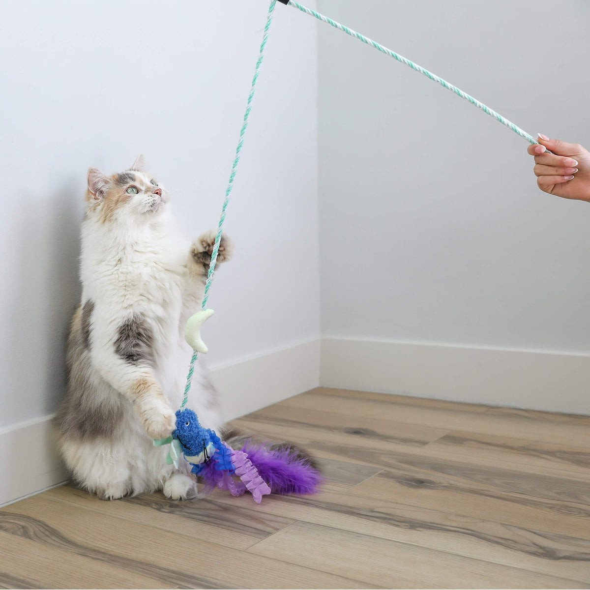 Fluffy cat reaching up to catch the Quirky Kitty Firefly Wand