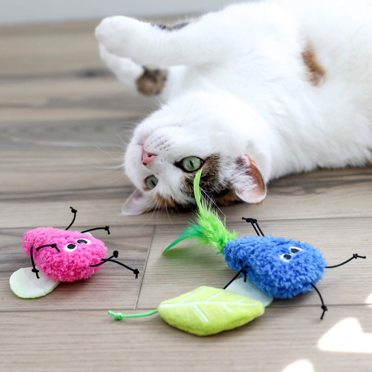 Calico cat on a wood floor eyeing the pink and blue Glow Bugs and plush leaf