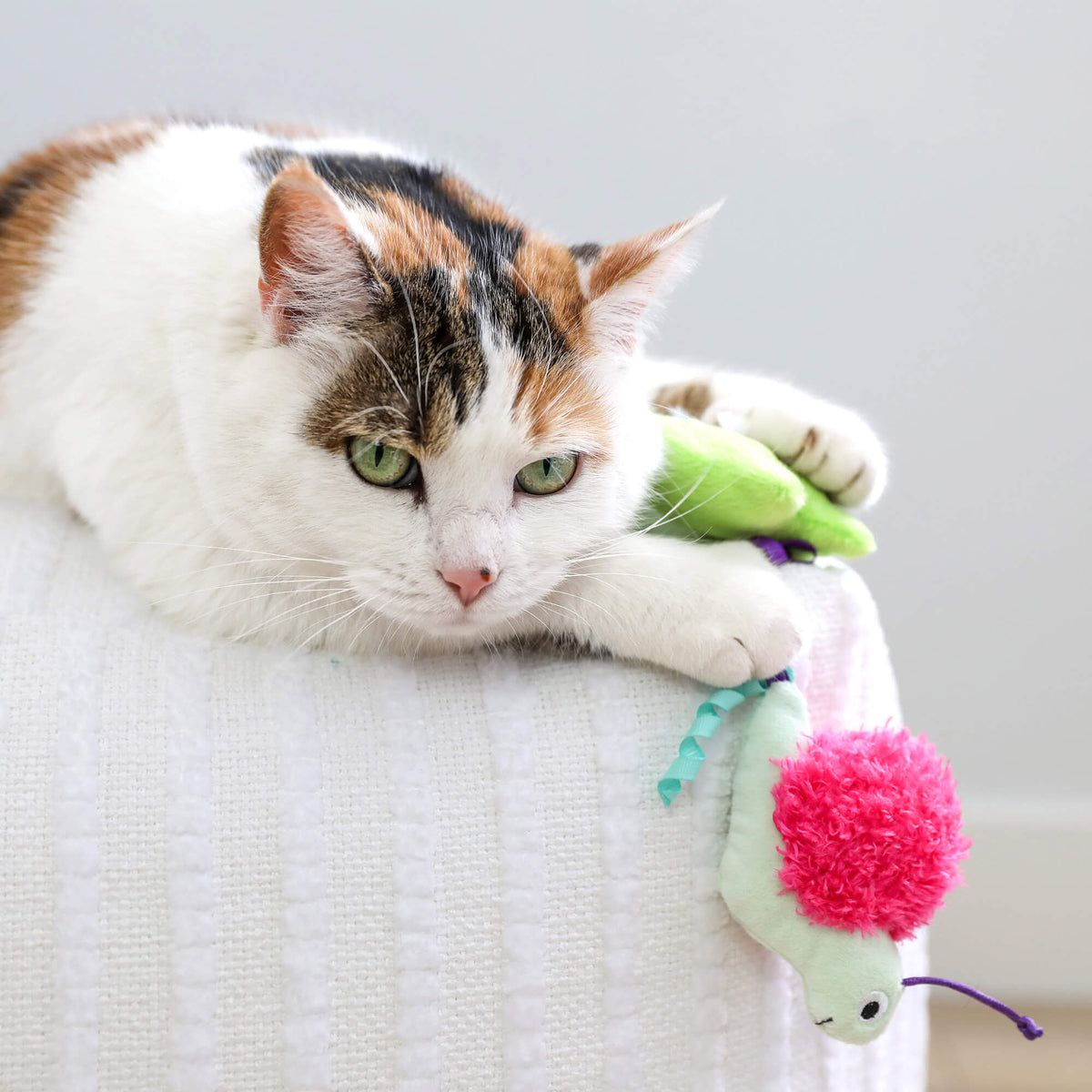 Calico cat on a white ottoman resting a paw on the Quirky Kitty Glow Critters snail and frog