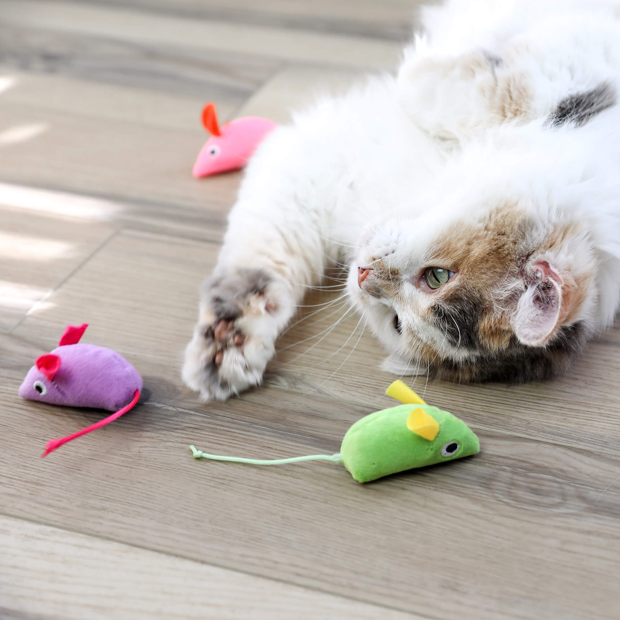 Calico cat stretching toward purple, pink, and green Quirky Kitty Glow Mice on the floor