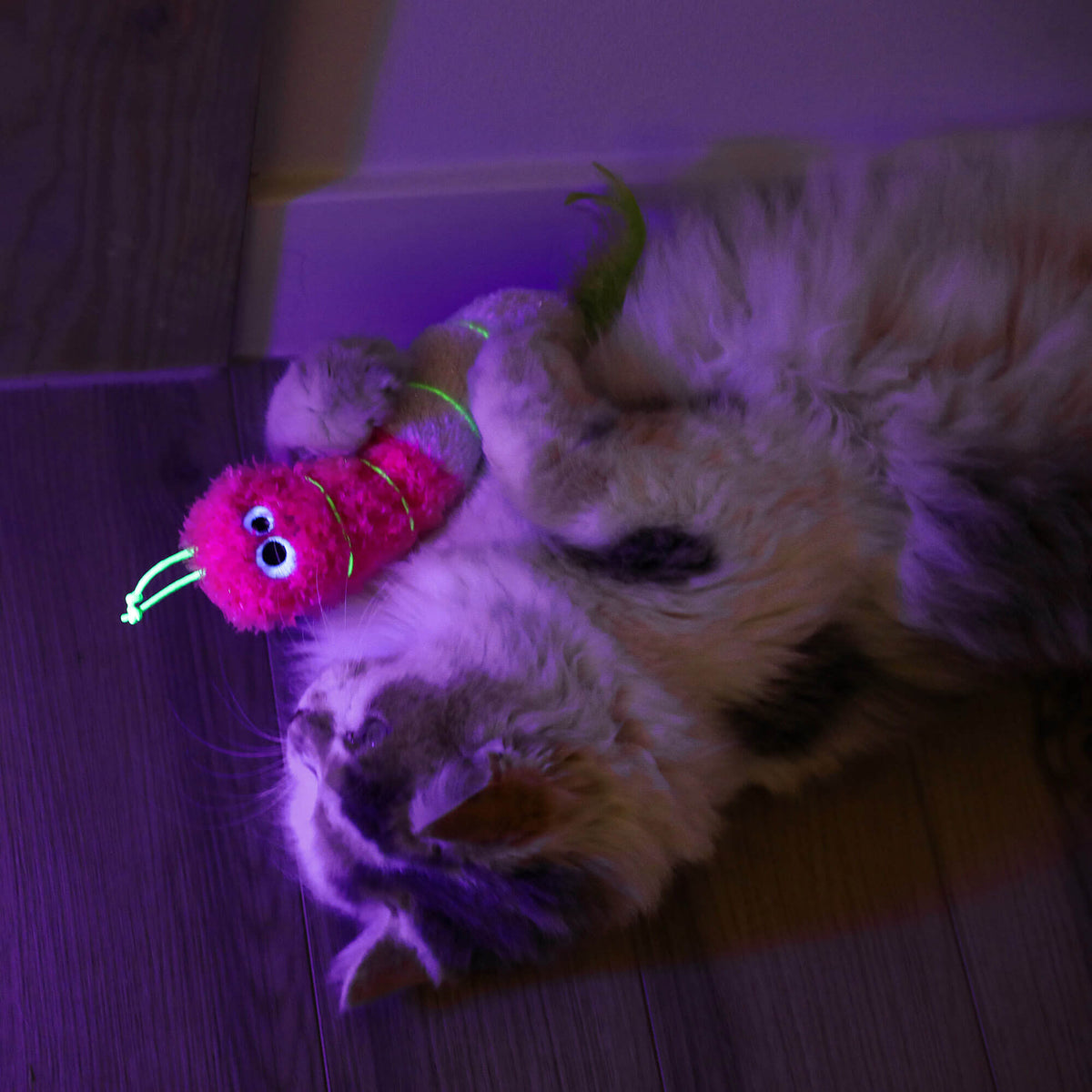 Long-haired cat hugging the glowing Quirky Kitty Glow Worm Kicker in a dark purple-lit room