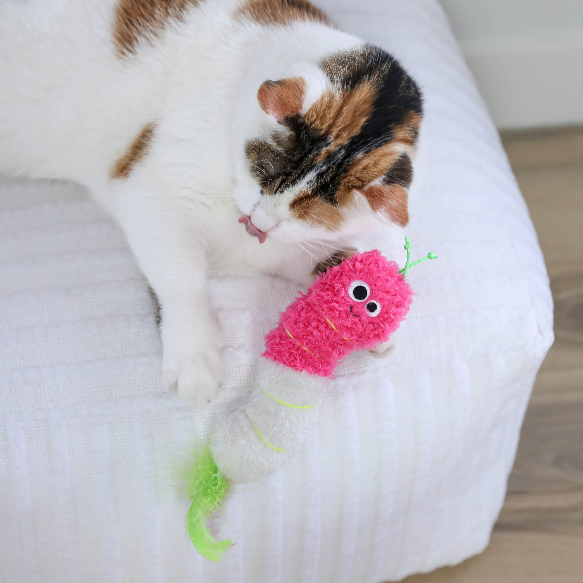 Calico cat on a white ottoman licking the Quirky Kitty Glow Worm Kicker toy