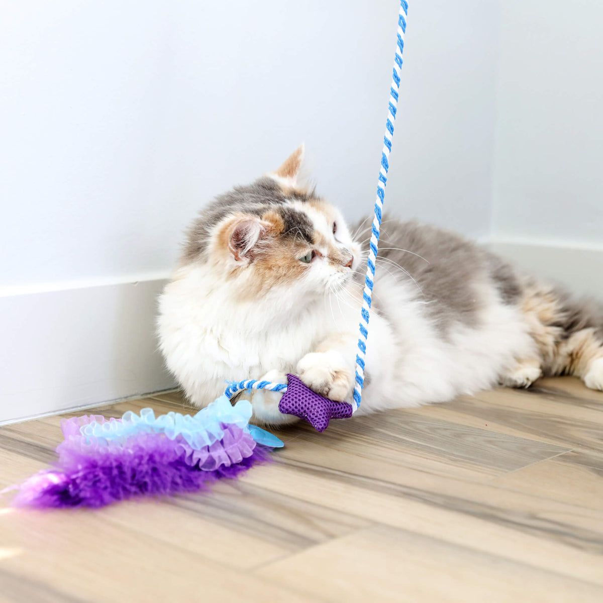 Calico cat on a wood floor holding the rope of the Quirky Kitty Manta Ray Wand